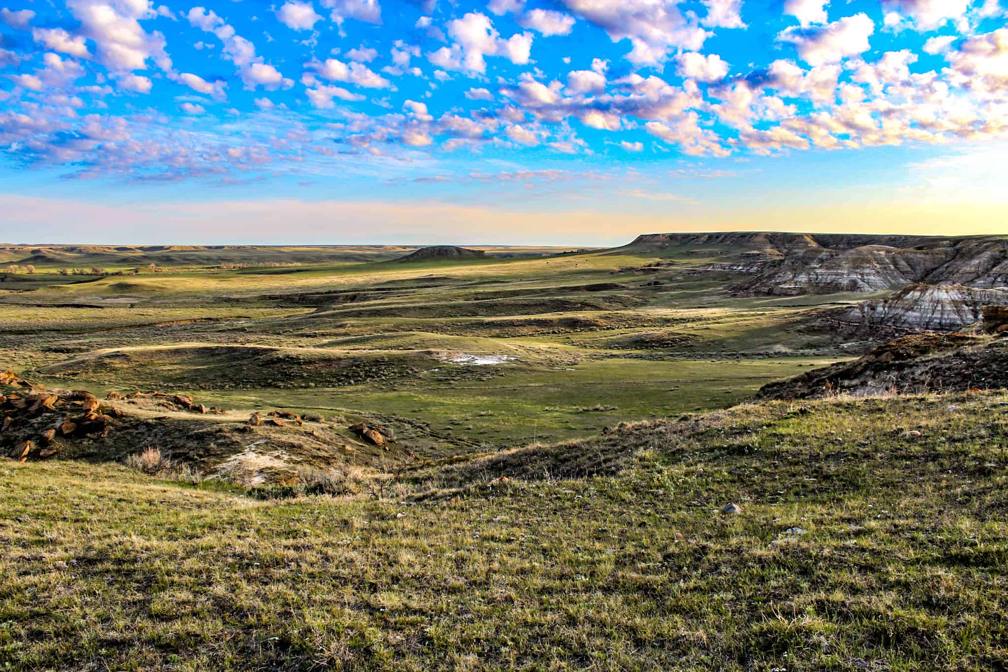 Northeastern Montana Working Cattle Ranch-Mule Deer Hunting Property