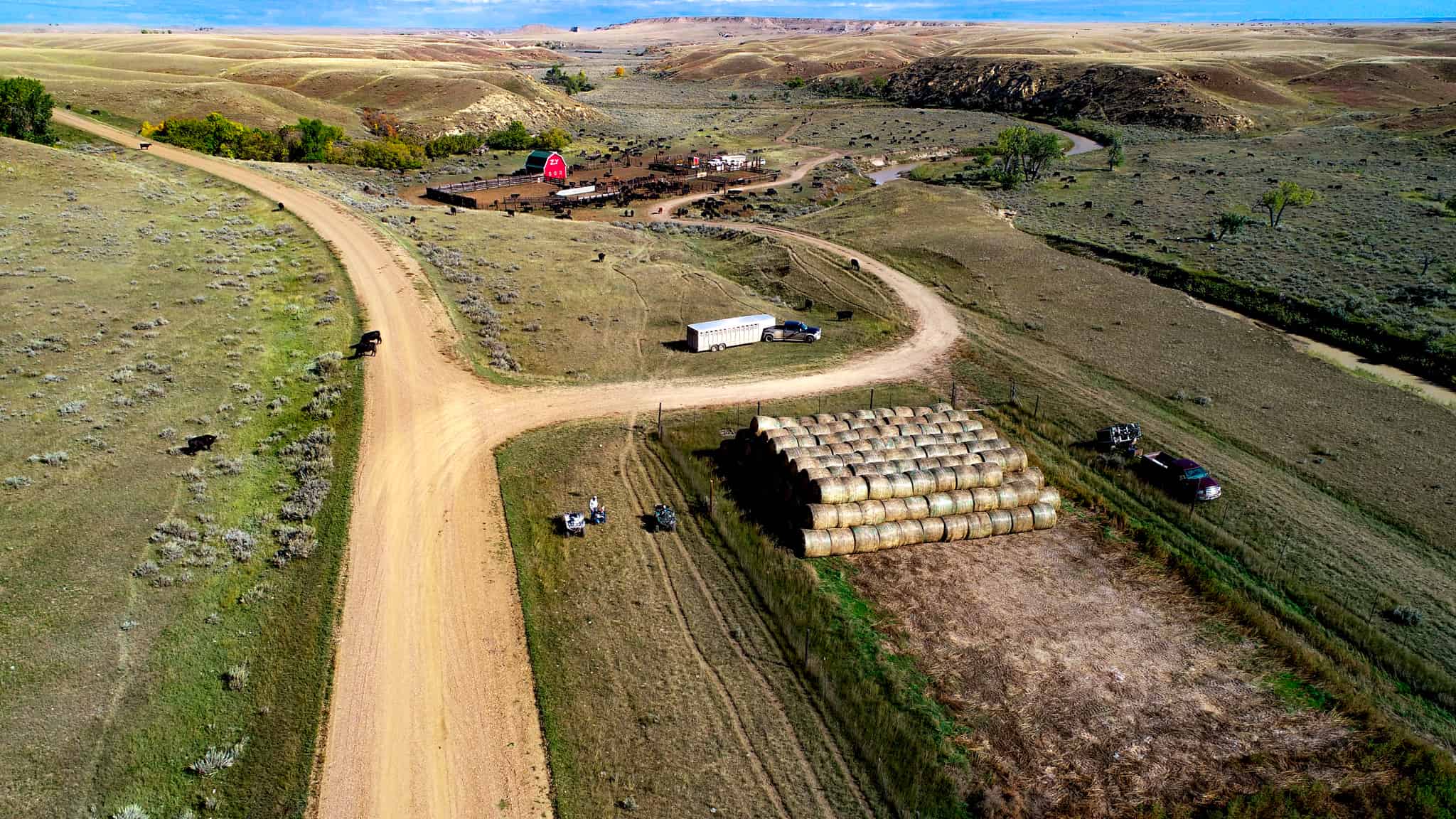 Northeastern Montana Working Cattle Ranch-Mule Deer Hunting Property