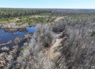 Pine Plantation / Duck Hunting Land for sale