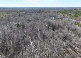 Pine Plantation / Duck Hunting Land for sale