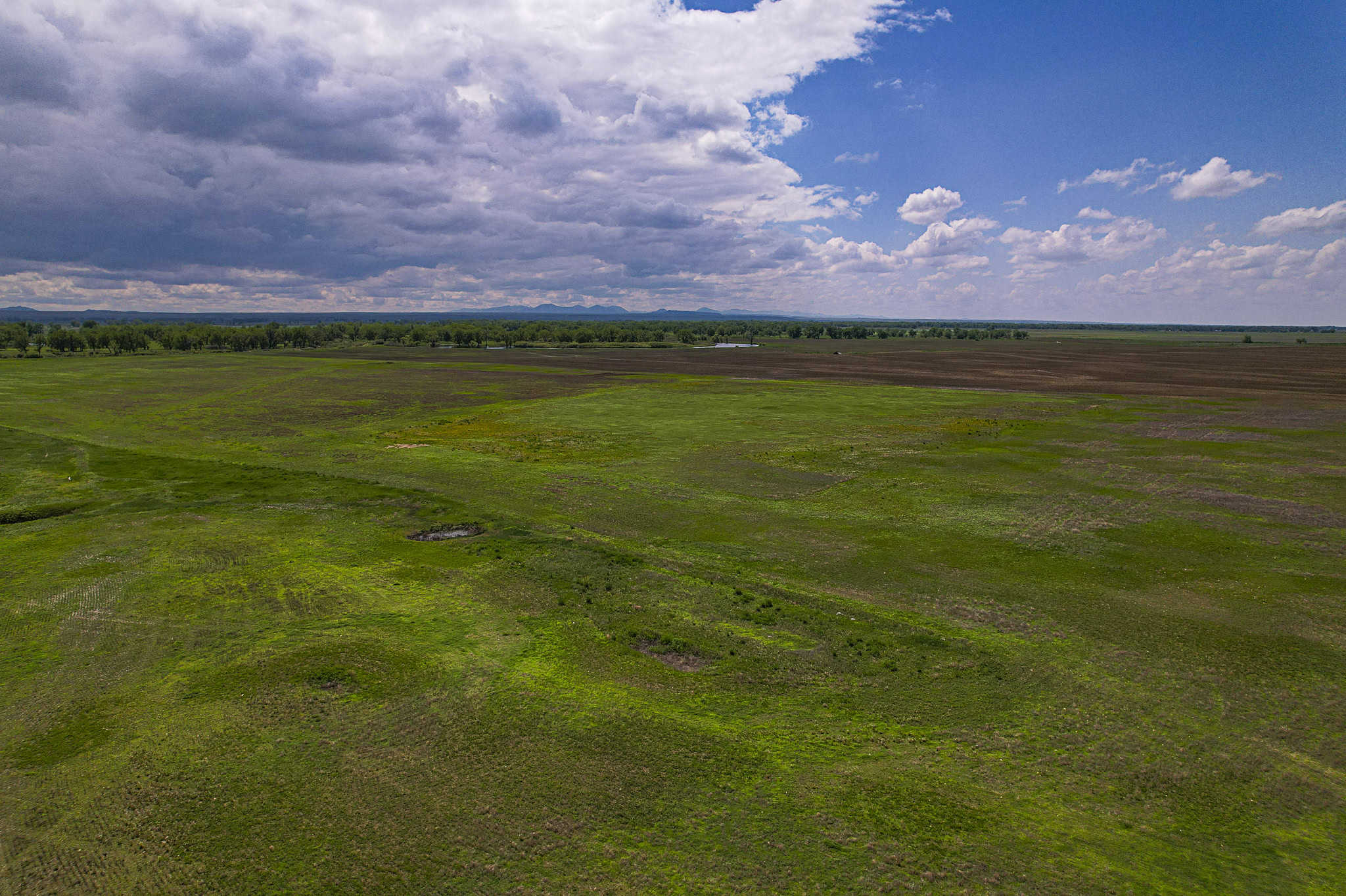 Milk River Treasure Ranch Dryland Farm Hay Production