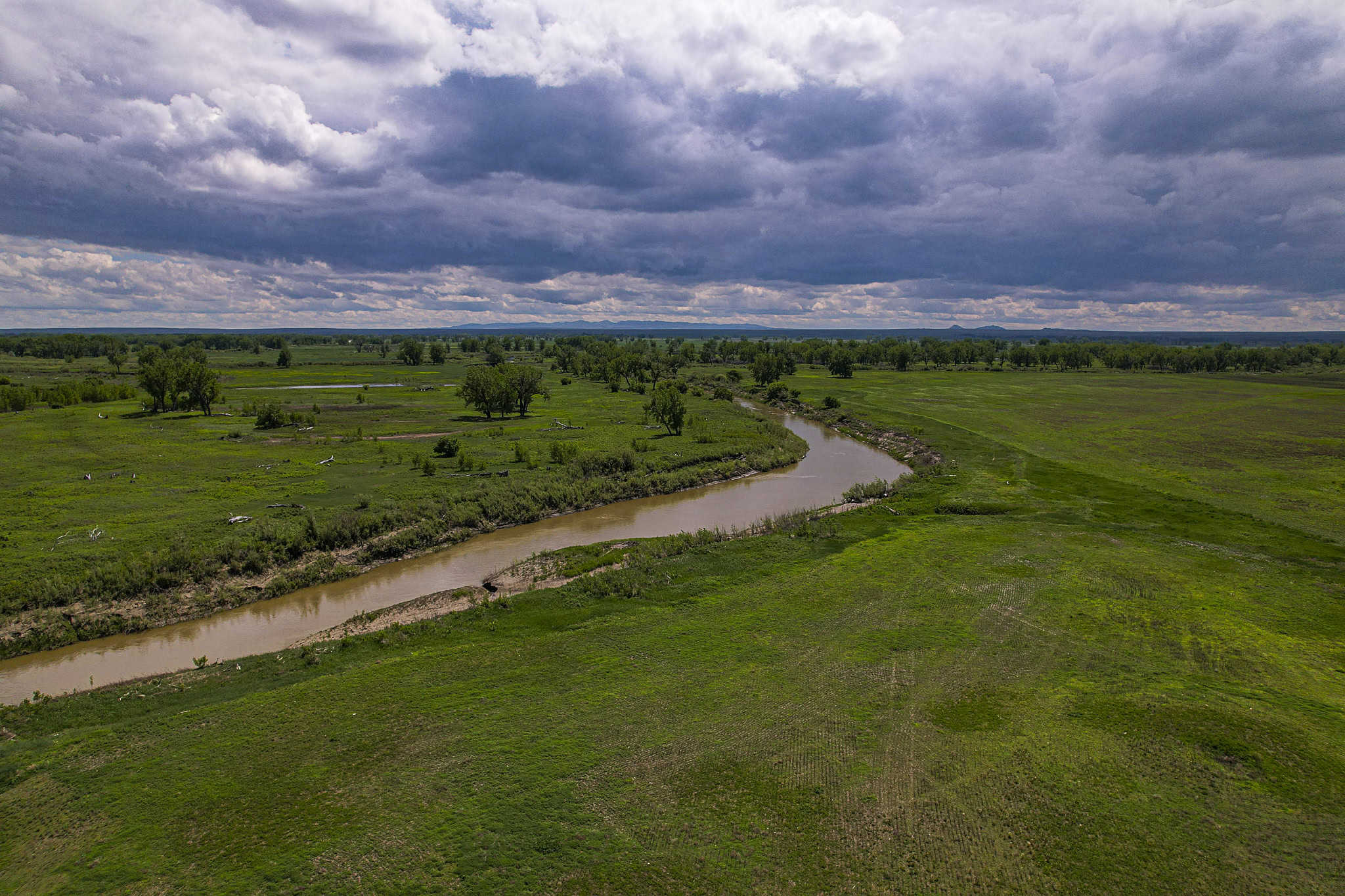 Milk River Treasure Ranch Dryland Farm Hay Production