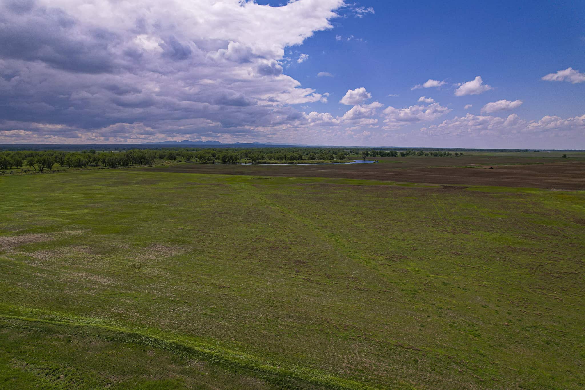 Milk River Treasure Ranch Dryland Farm Hay Production