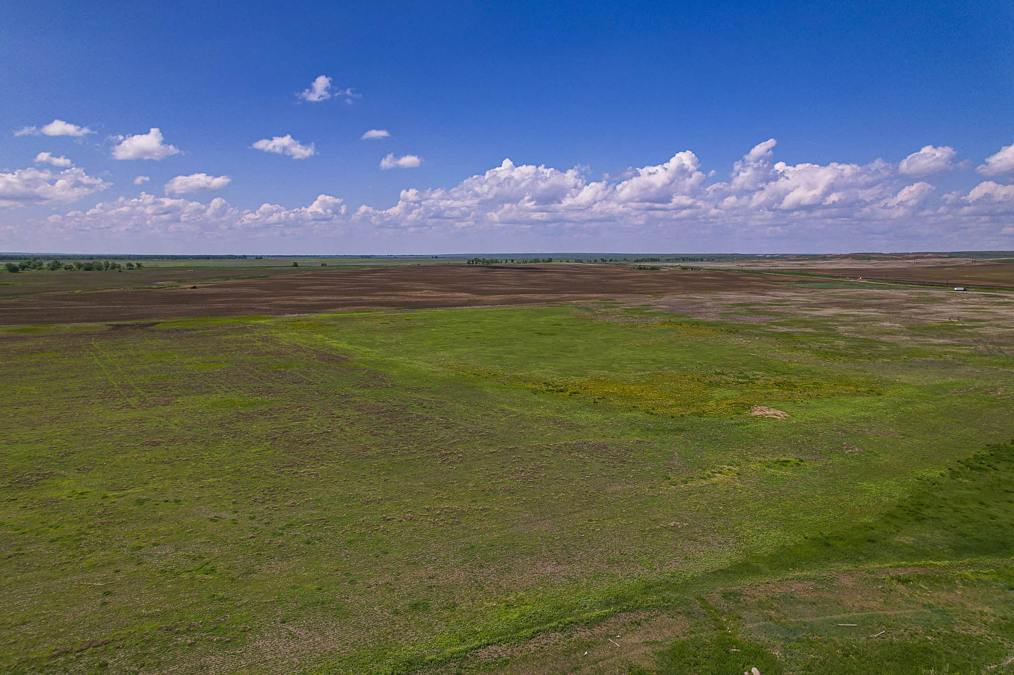 Milk River Treasure Ranch Dryland Farm Hay Production