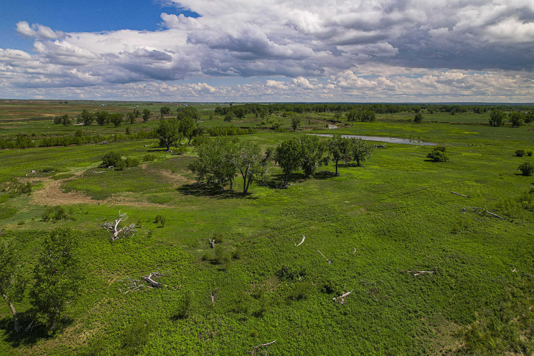 Milk River Treasure Ranch Dryland Farm Hay Production