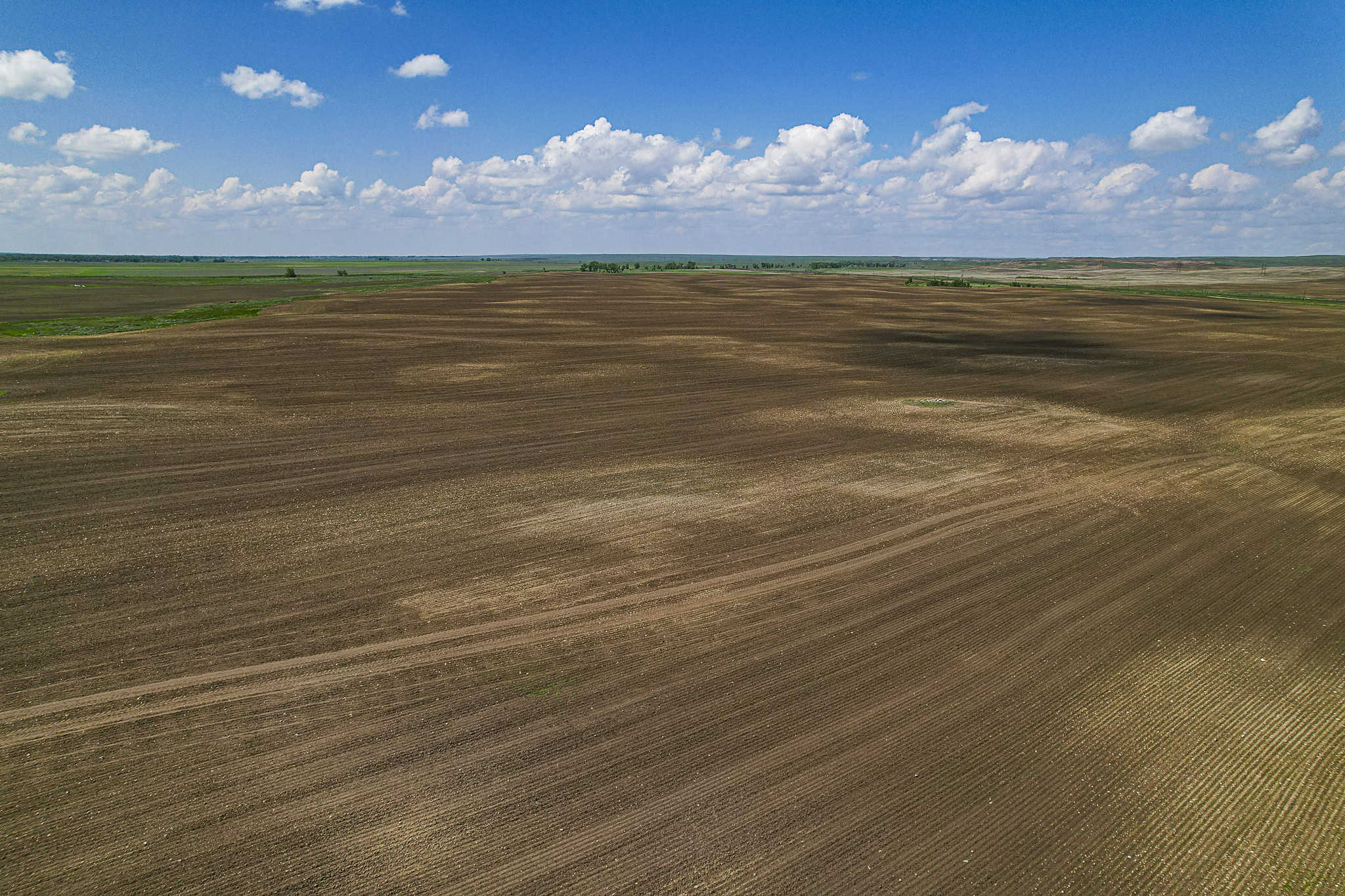Milk River Treasure Ranch Dryland Farm Hay Production