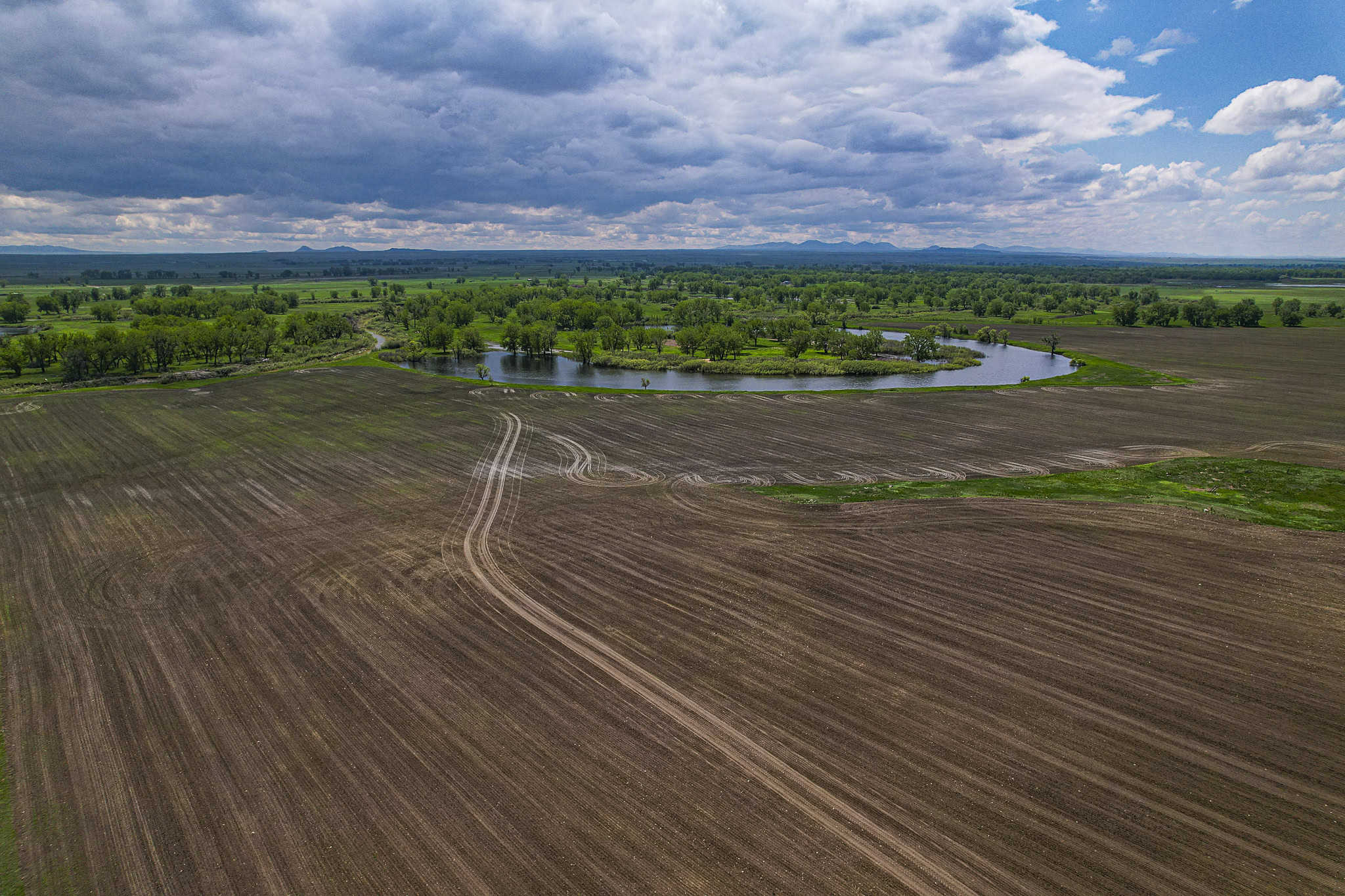 Milk River Treasure Ranch Dryland Farm Hay Production