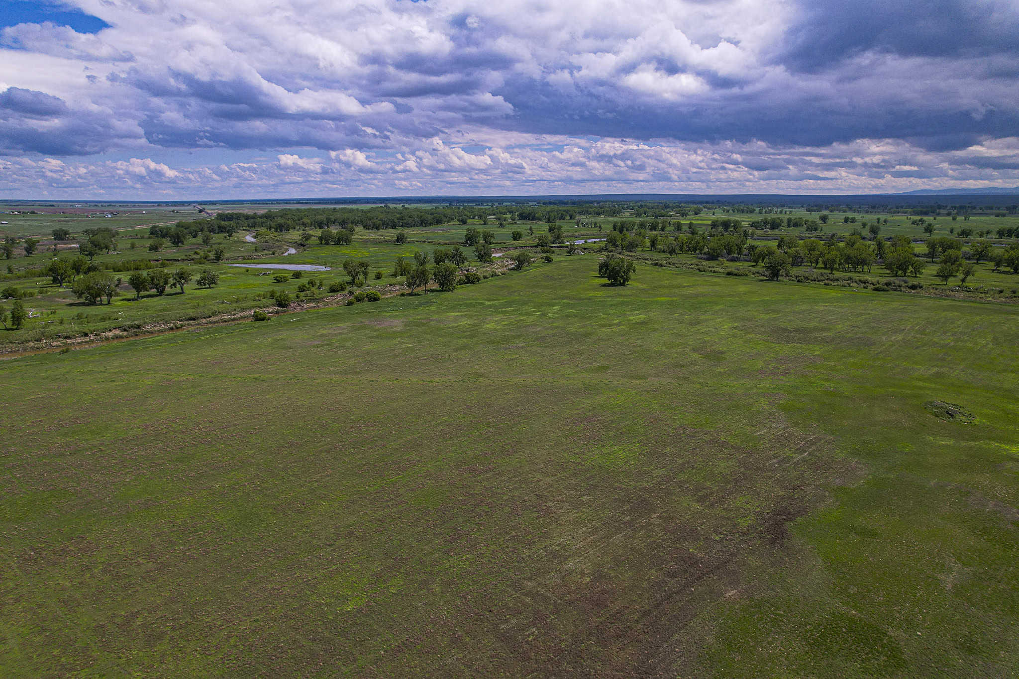 Milk River Treasure Ranch Dryland Farm Hay Production