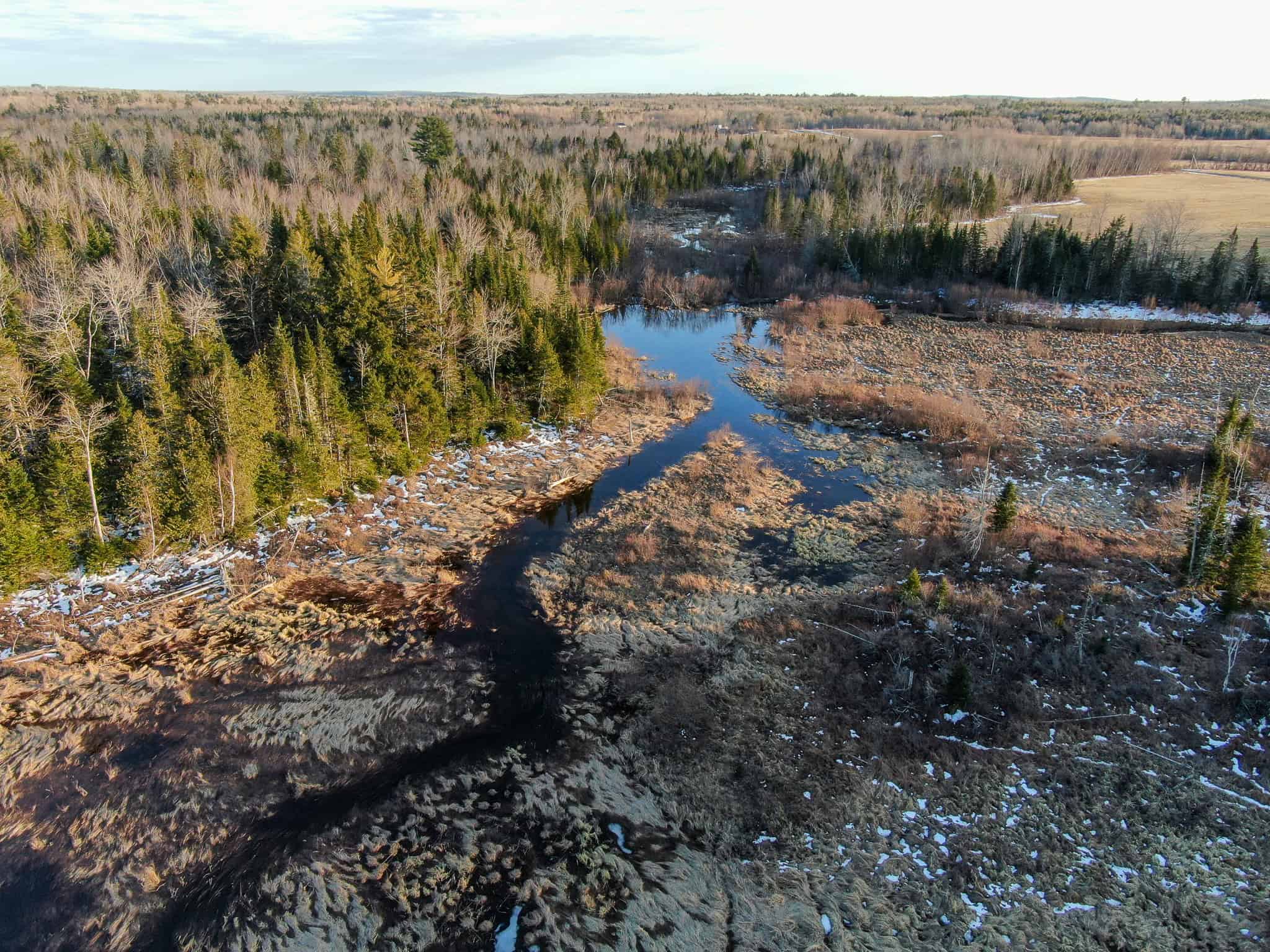 Maine Land for Sale Near Bangor UC Hunting Properties