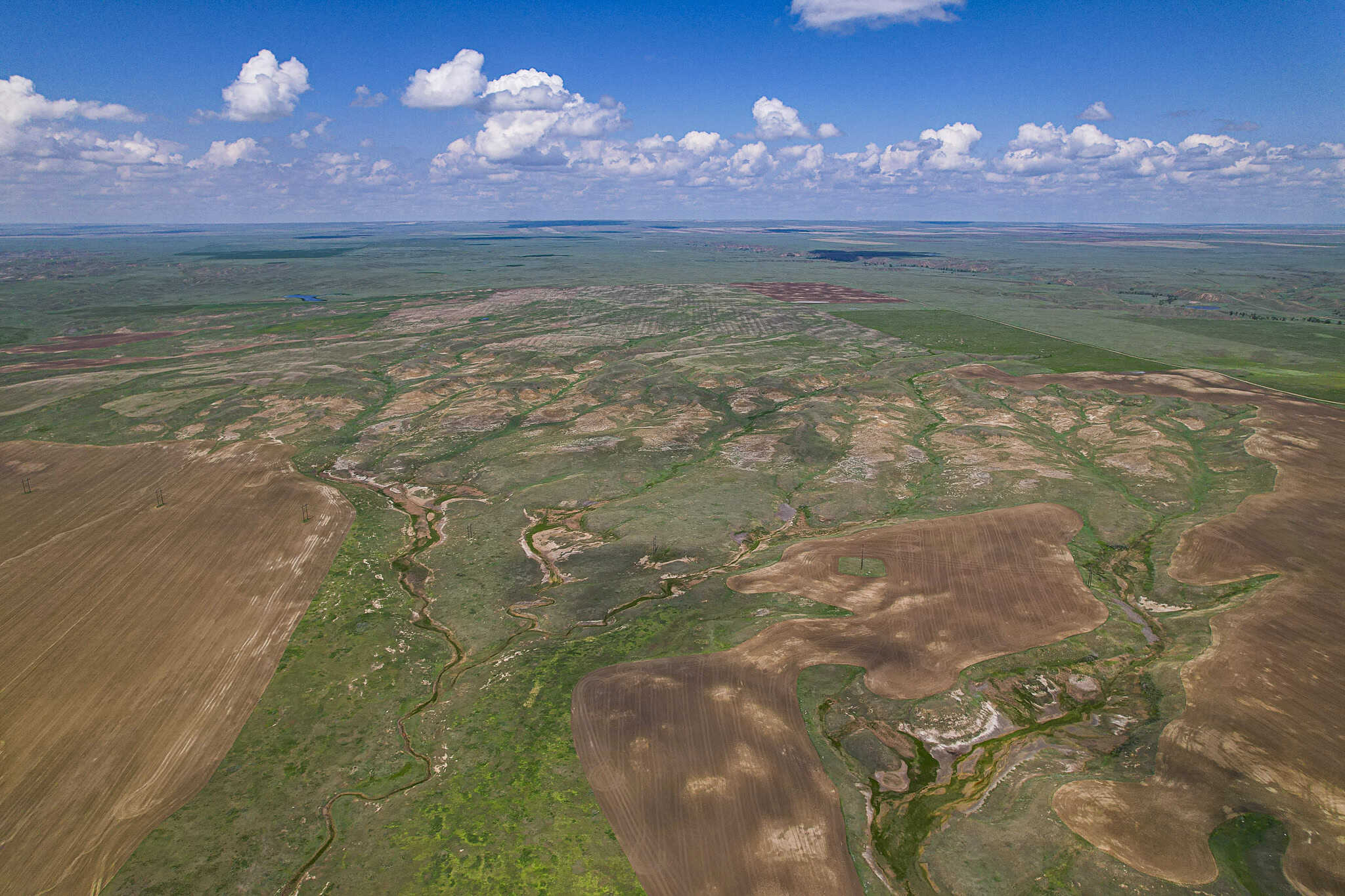 Milk River Treasure Ranch Dryland Farm Hay Production