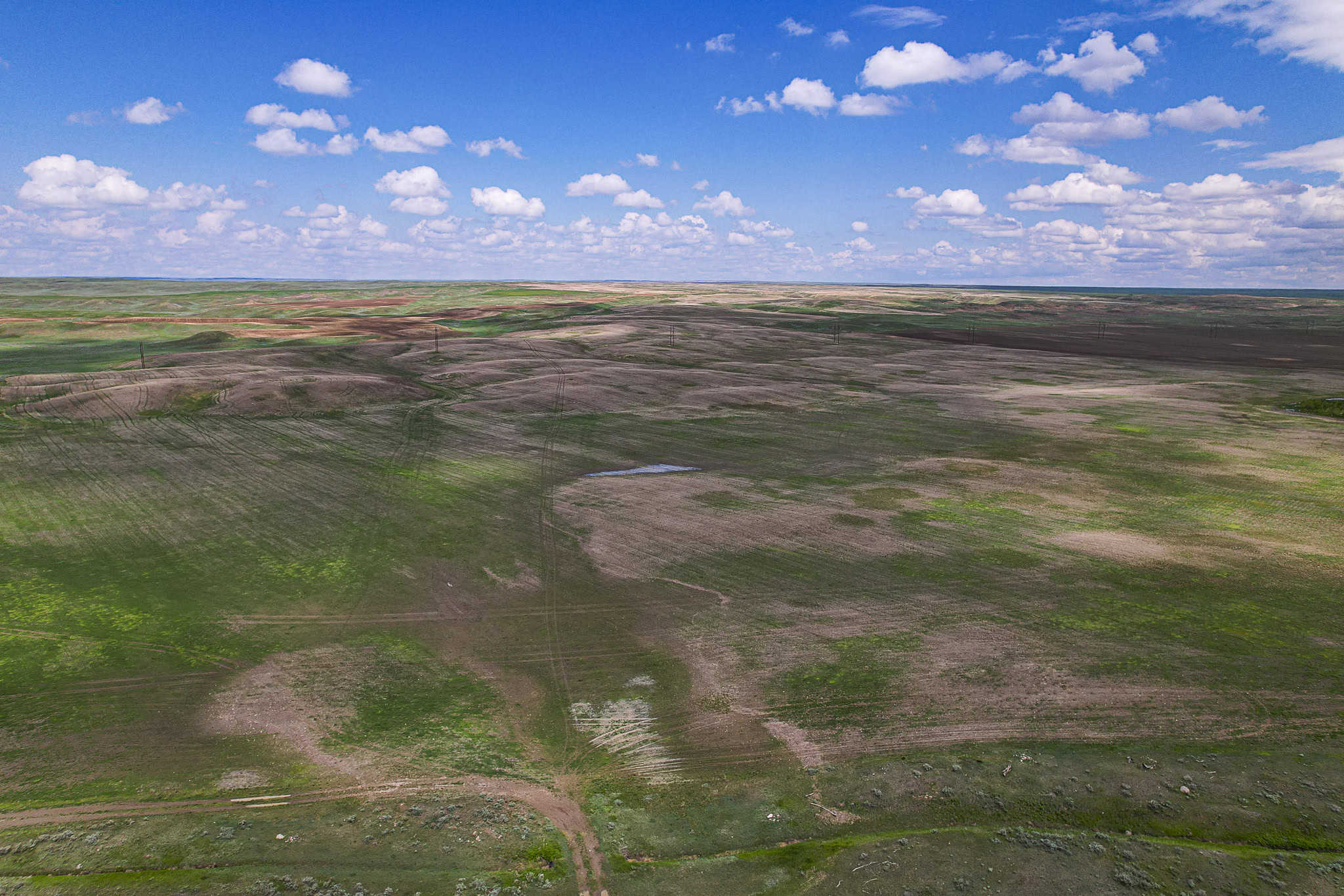 Milk River Treasure Ranch Dryland Farm Hay Production