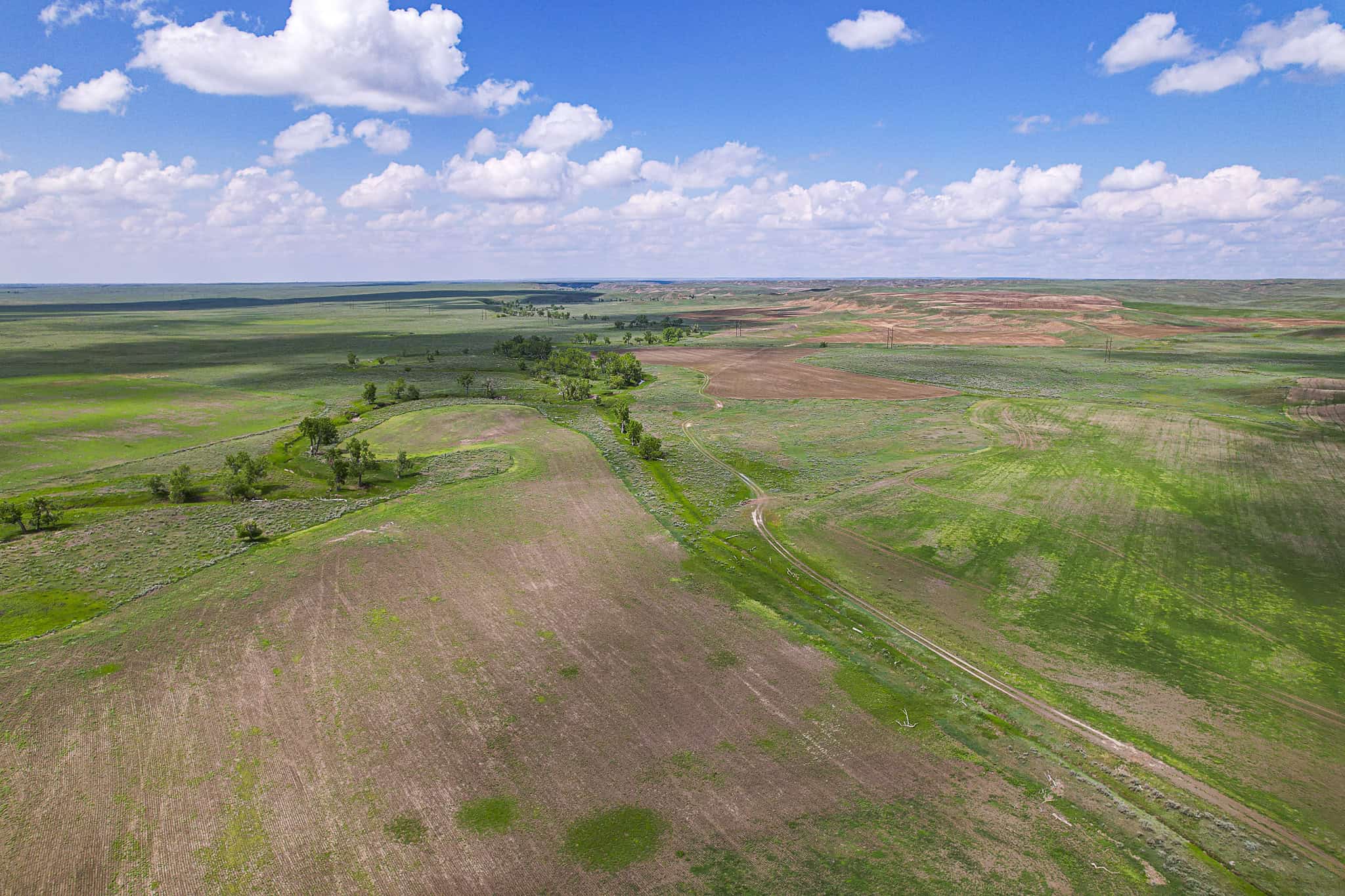 Milk River Treasure Ranch Dryland Farm Hay Production