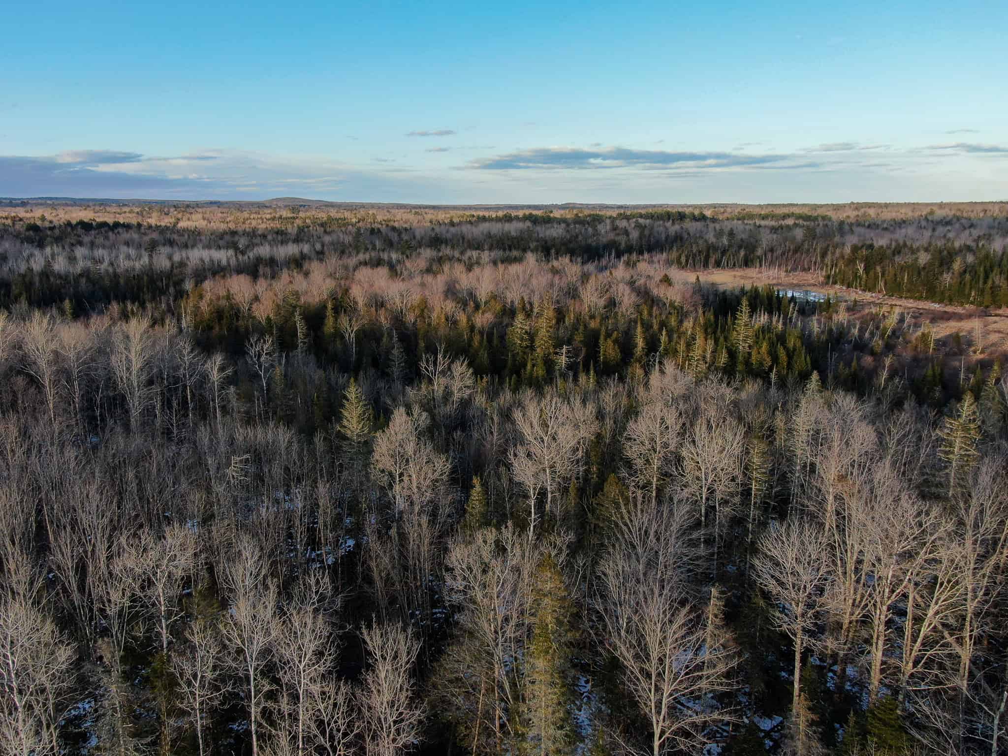 Maine Land for Sale Near Bangor UC Hunting Properties