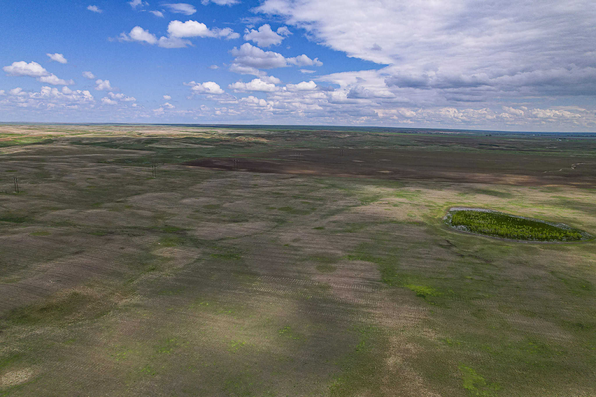 Milk River Treasure Ranch Dryland Farm Hay Production