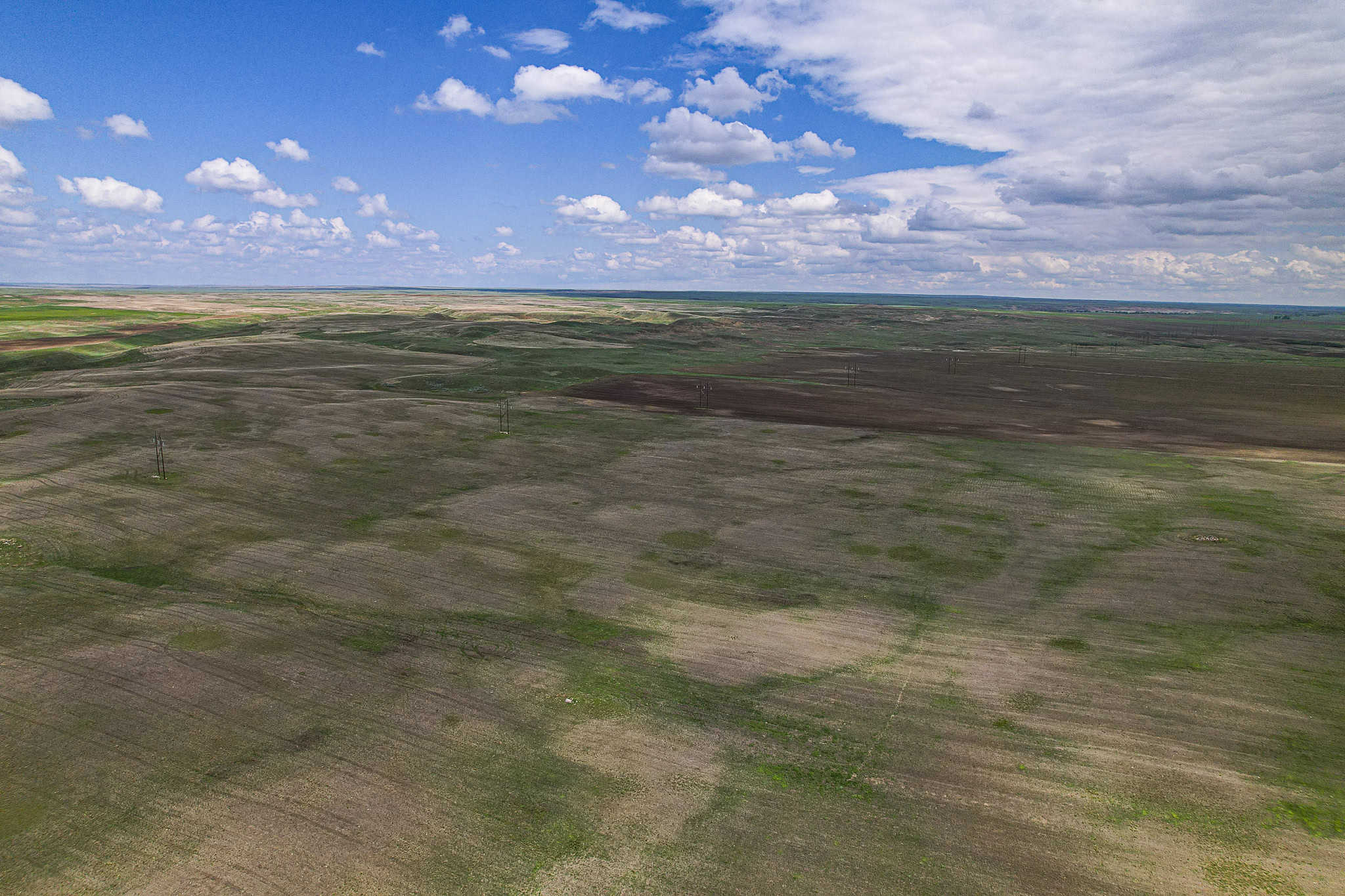 Milk River Treasure Ranch Dryland Farm Hay Production
