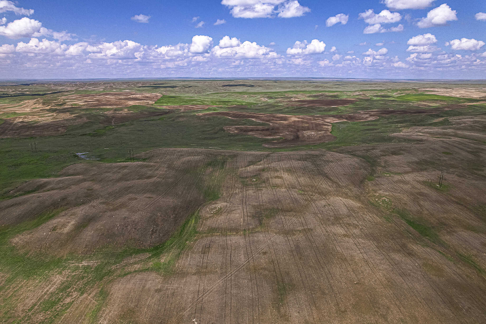Milk River Treasure Ranch Dryland Farm Hay Production
