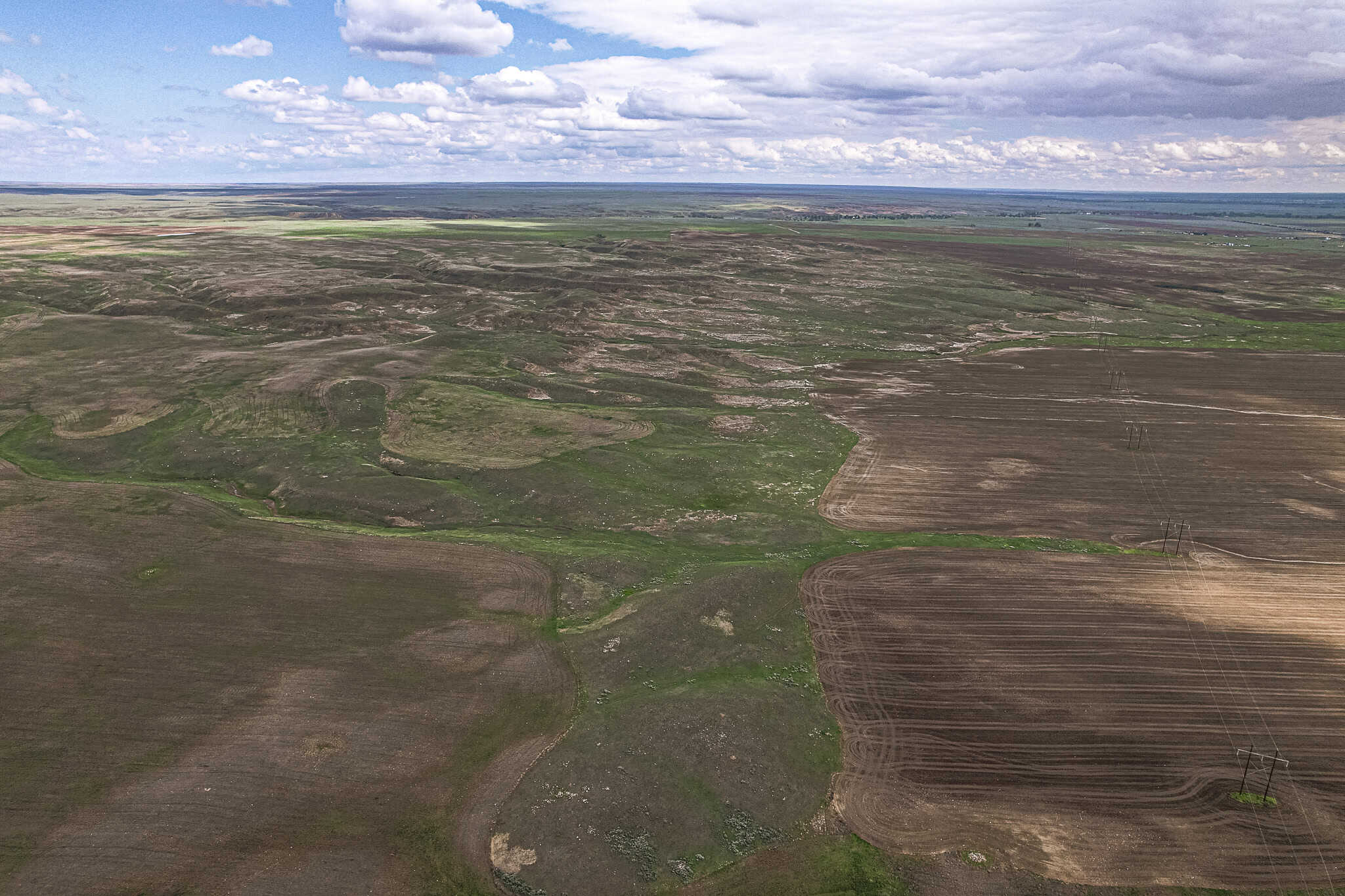 Milk River Treasure Ranch Dryland Farm Hay Production