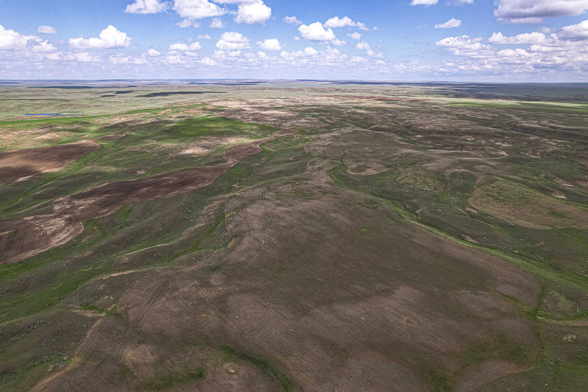 Milk River Treasure Ranch Dryland Farm Hay Production