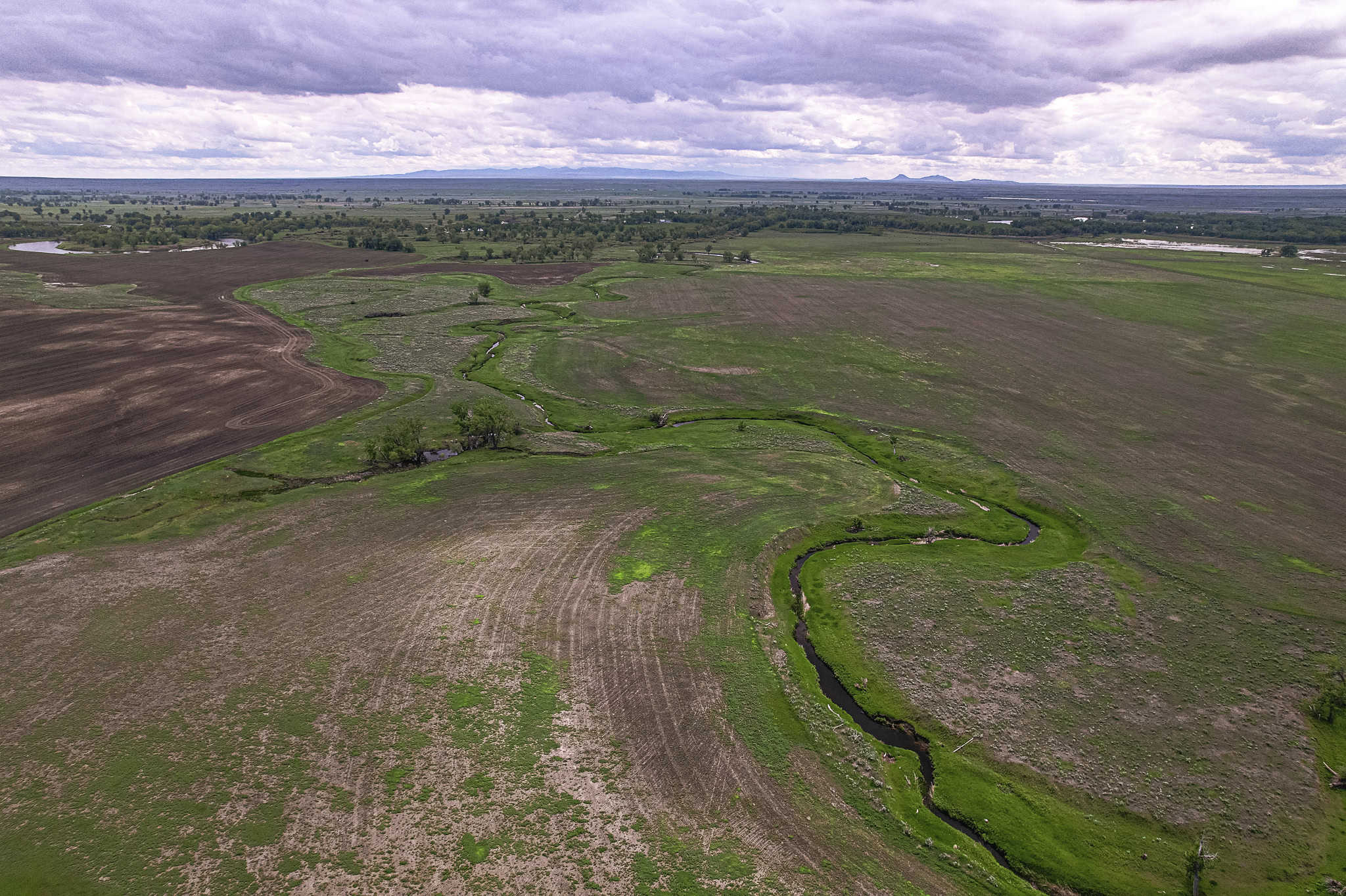 Milk River Treasure Ranch Dryland Farm Hay Production