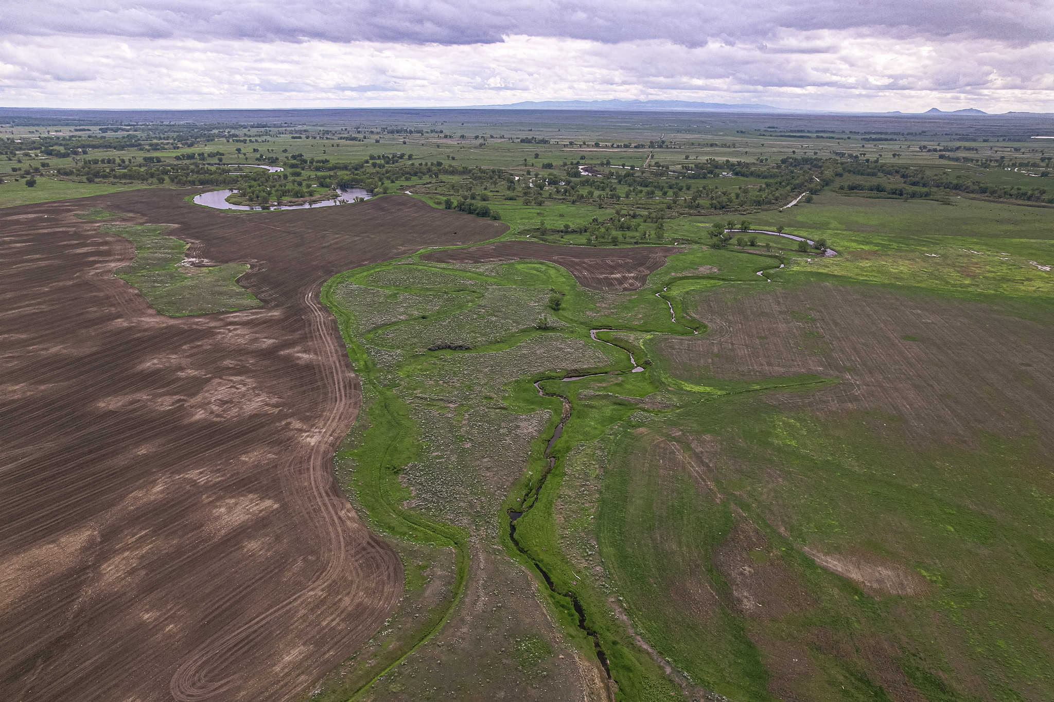 Milk River Treasure Ranch Dryland Farm Hay Production