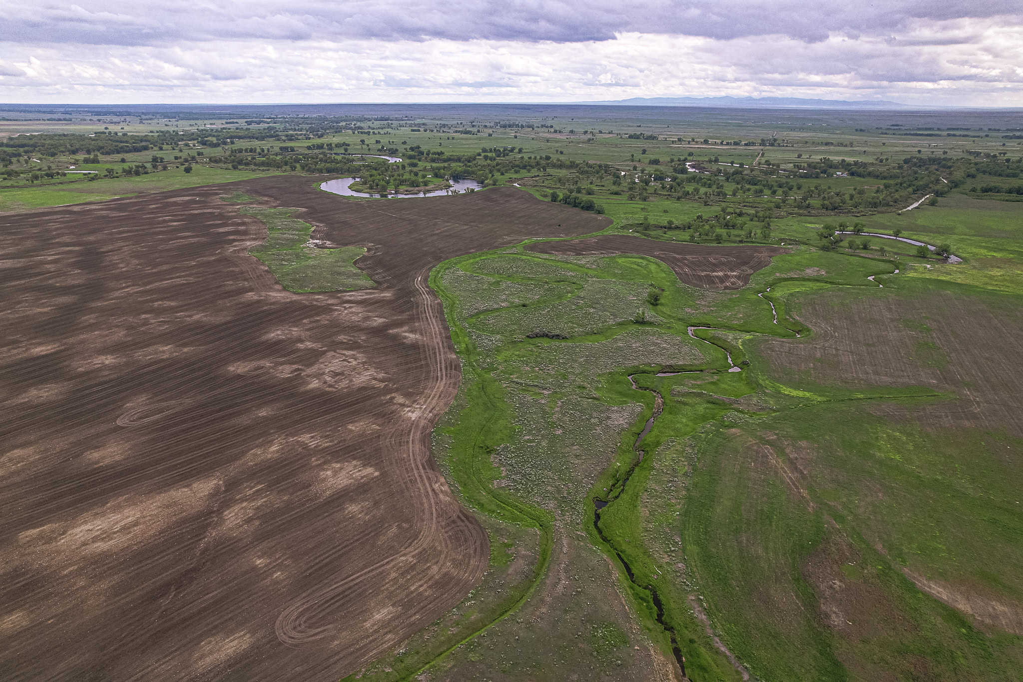 Milk River Treasure Ranch Dryland Farm Hay Production