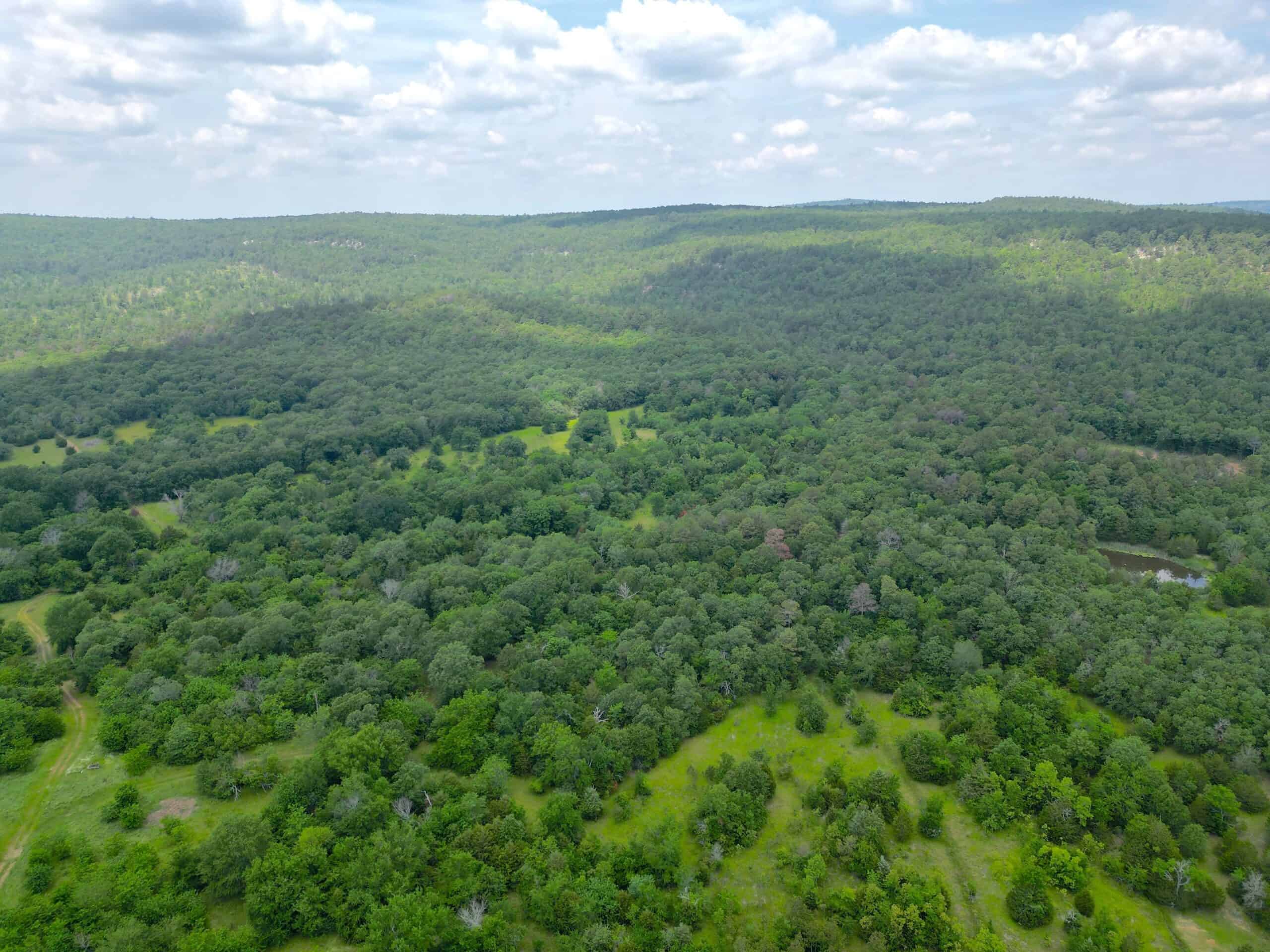 Acreage For Sale in Daisy, Oklahoma!