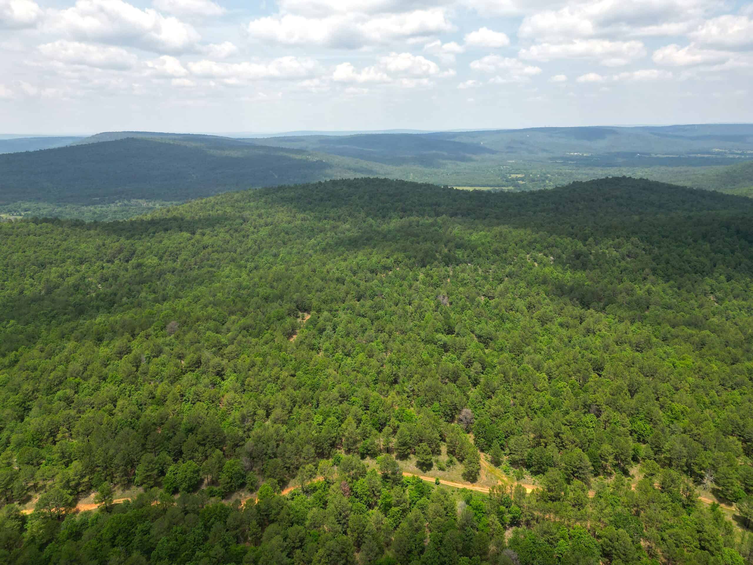 Acreage For Sale in Daisy, Oklahoma!