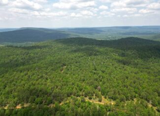 Hunting land for sale in Daisy, OK