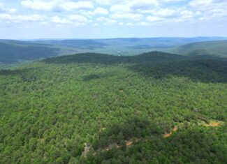 Hunting land for sale in Daisy, OK