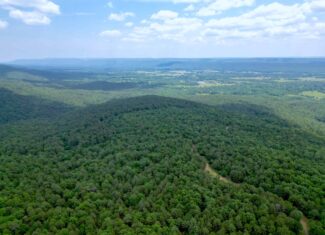 Hunting land for sale in Daisy, OK