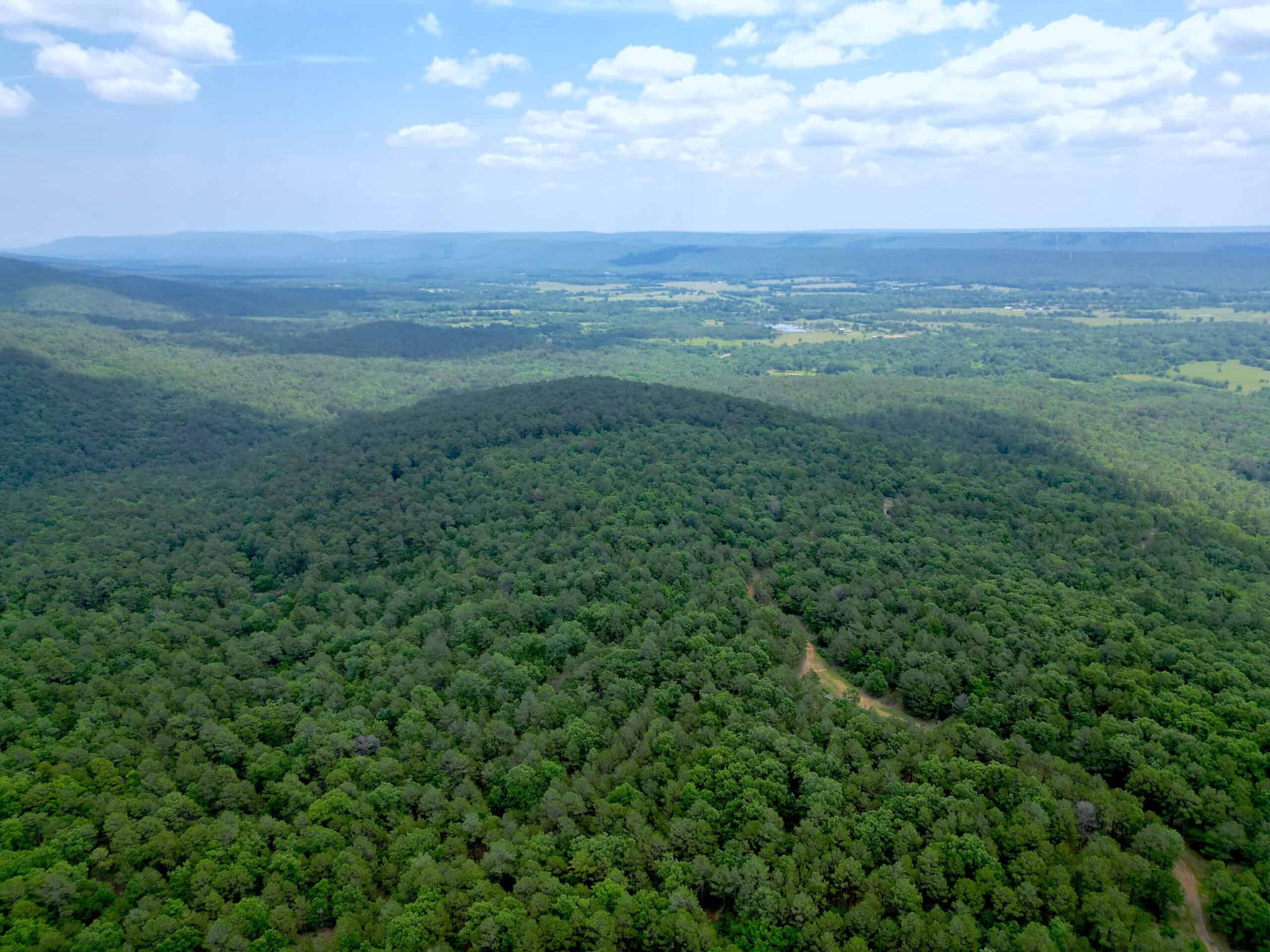 Hunting land for sale in Daisy, OK