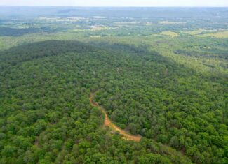 Hunting land for sale in Daisy, OK