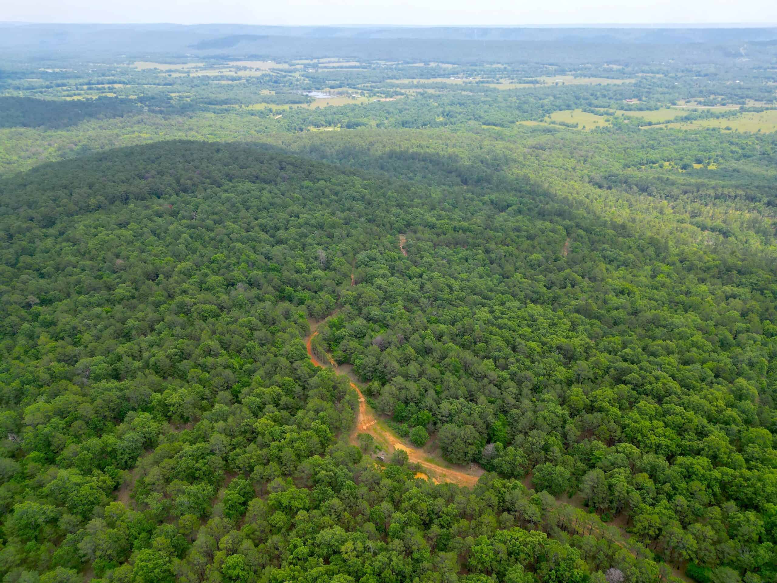 Hunting land for sale in Daisy, OK