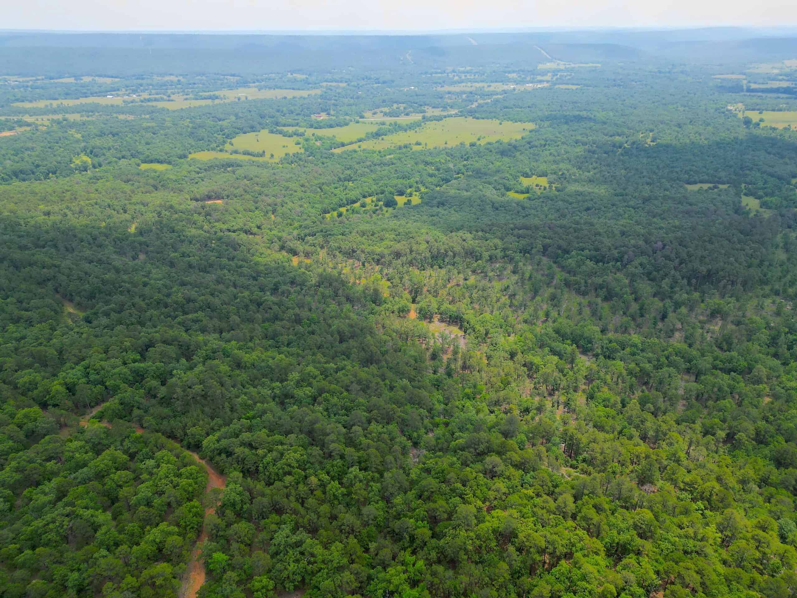 Hunting land for sale in Daisy, OK