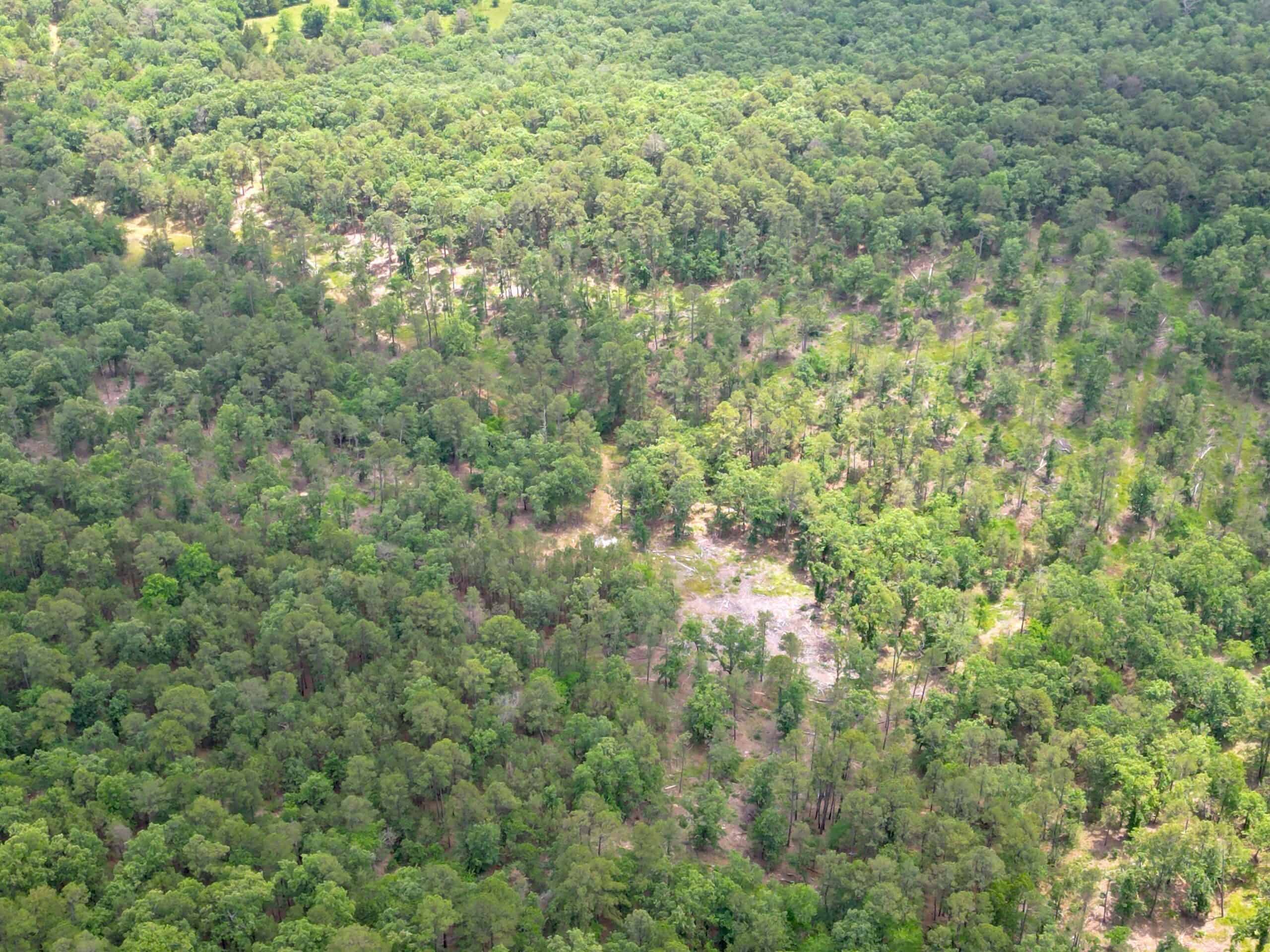 Hunting land for sale in Daisy, OK
