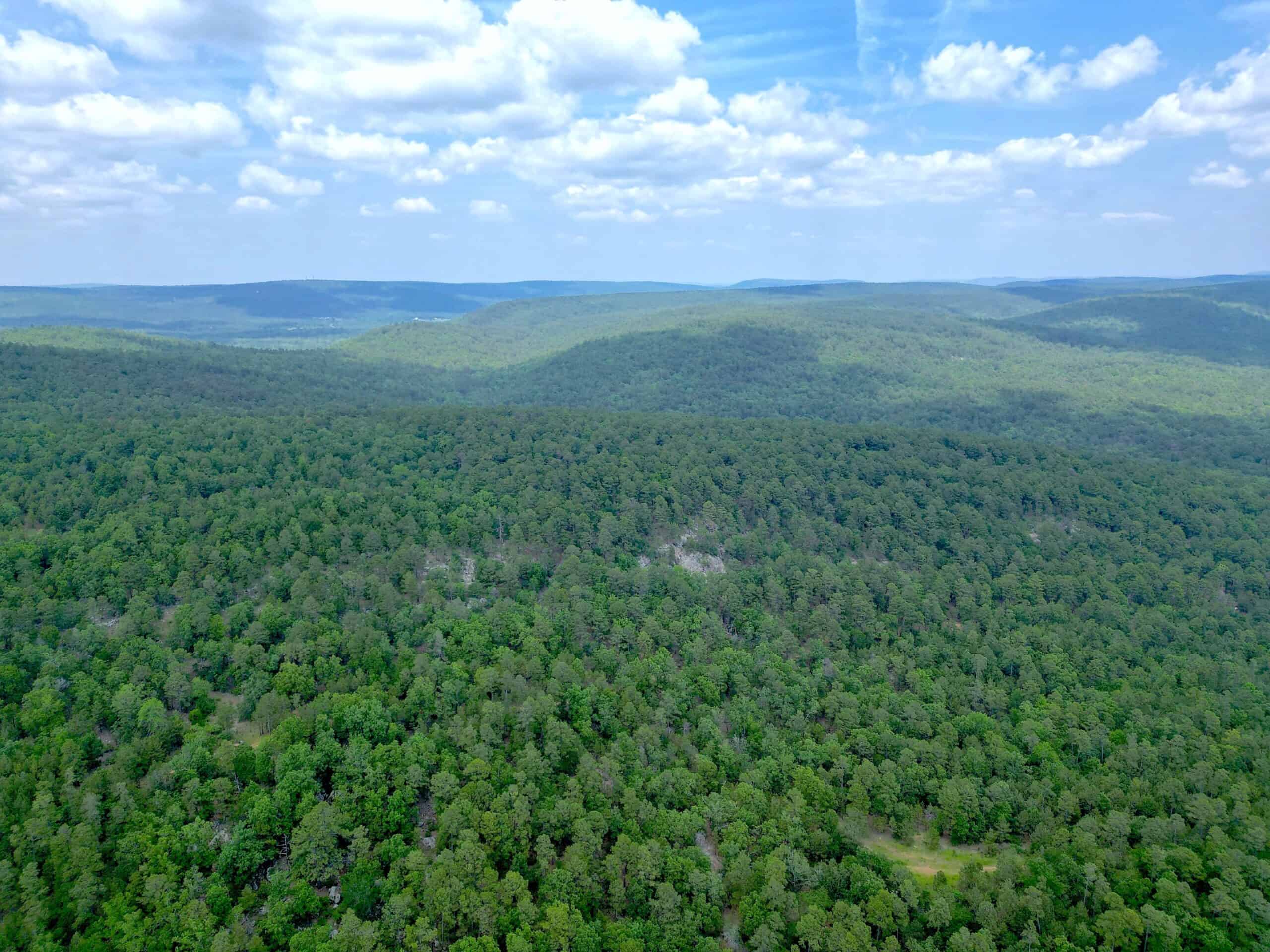 Hunting land for sale in Daisy, OK