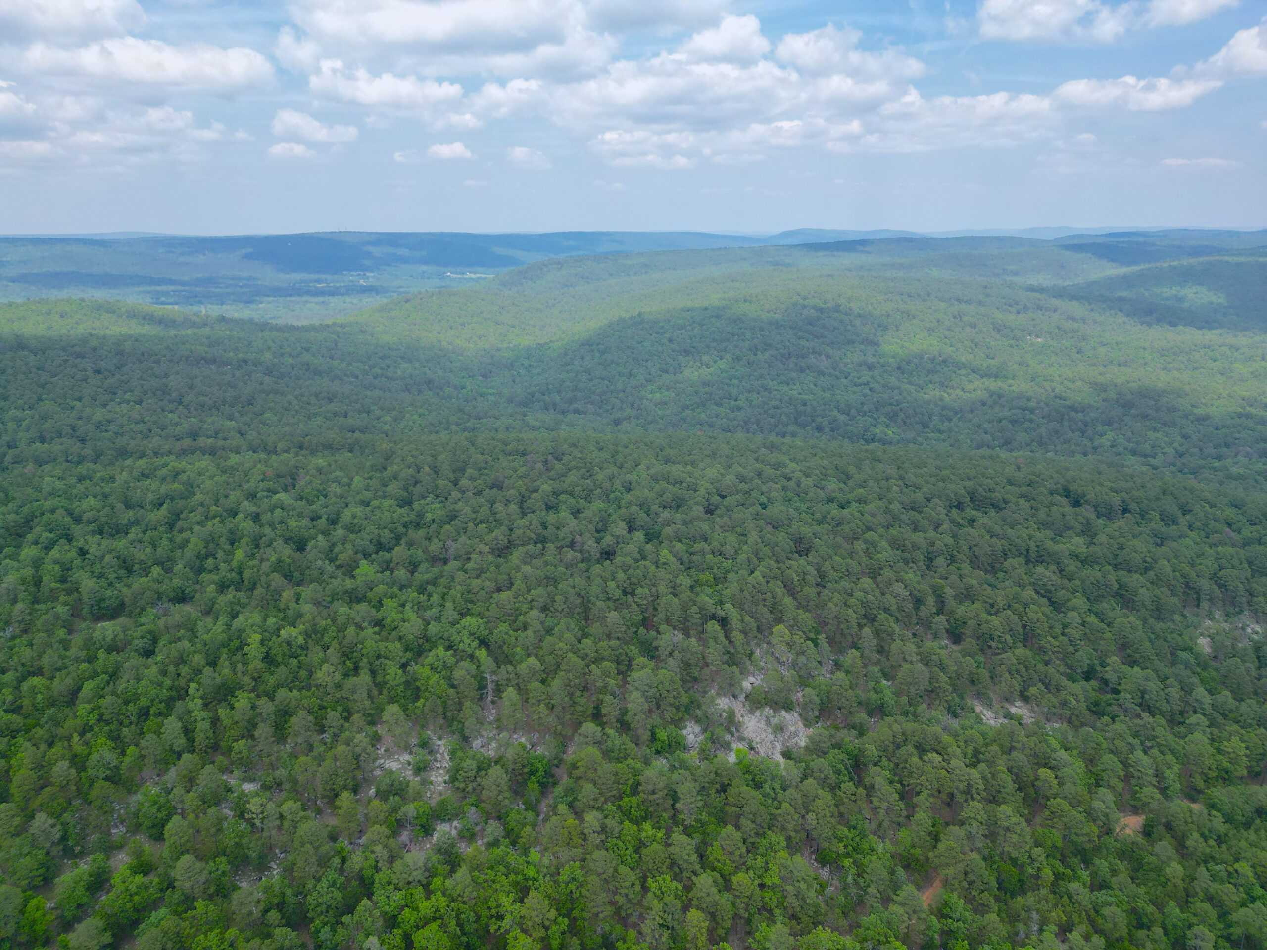 Hunting land for sale in Daisy, OK