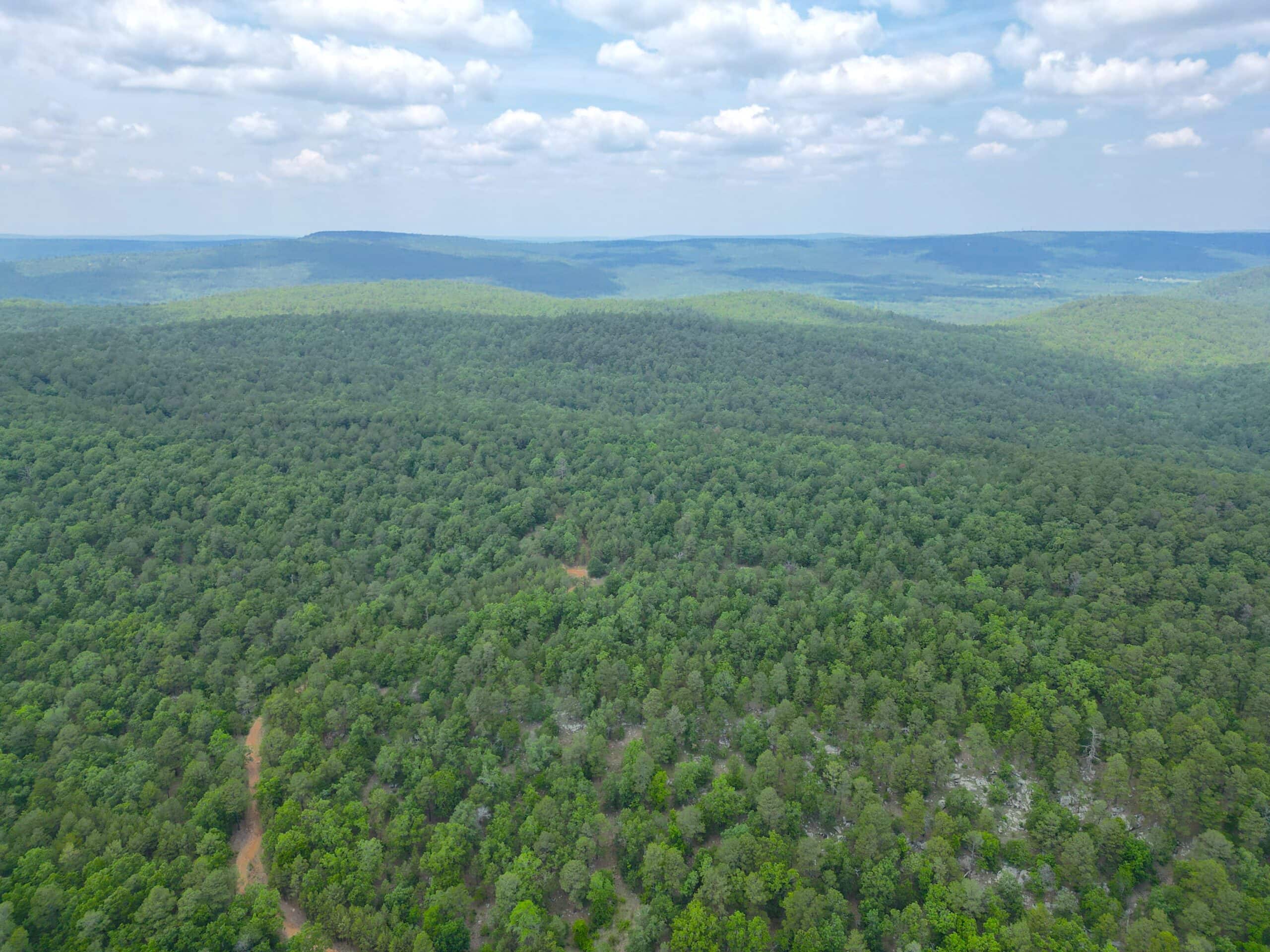 Hunting land for sale in Daisy, OK