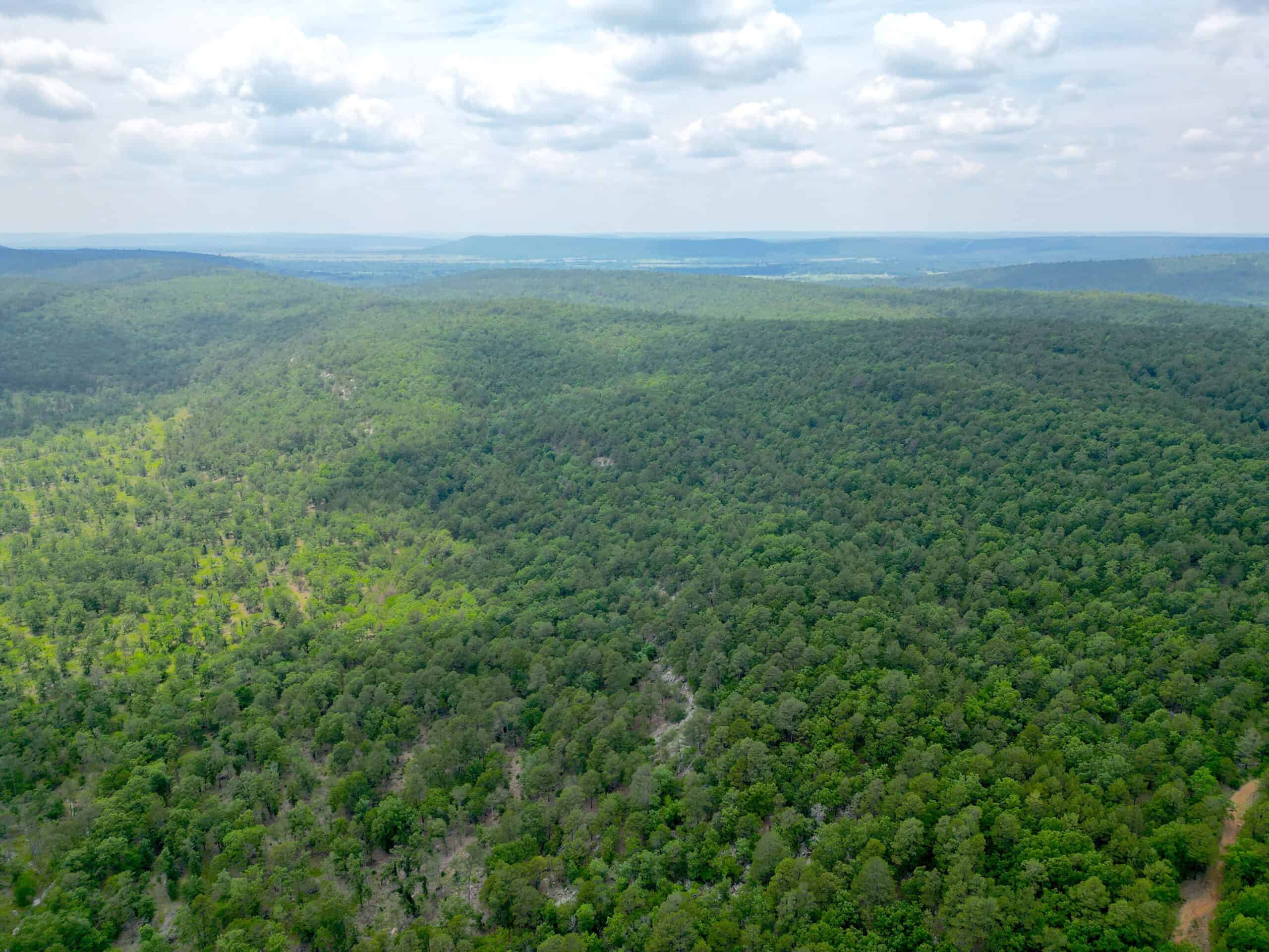 Hunting land for sale in Daisy, OK