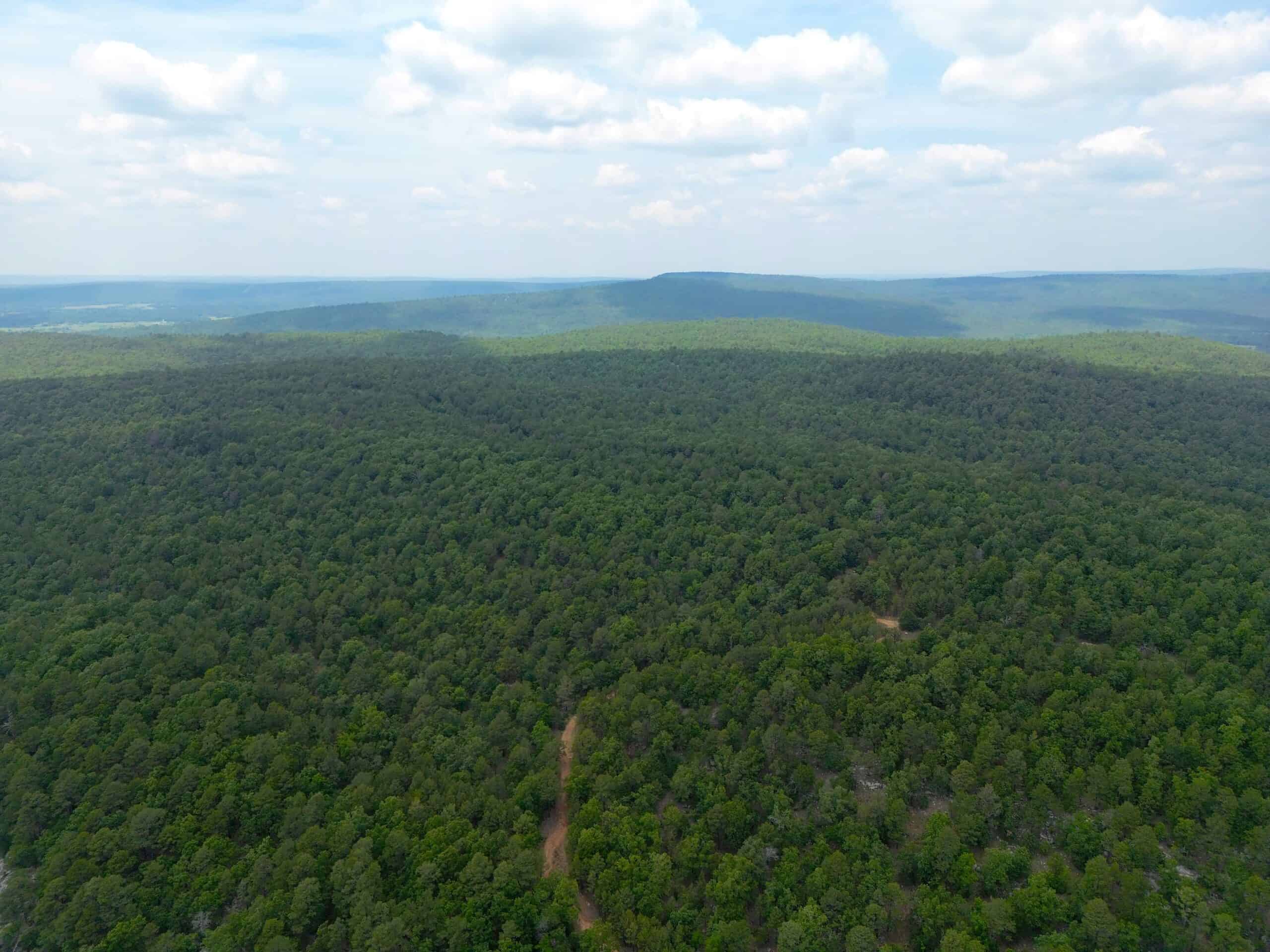 Hunting land for sale in Daisy, OK
