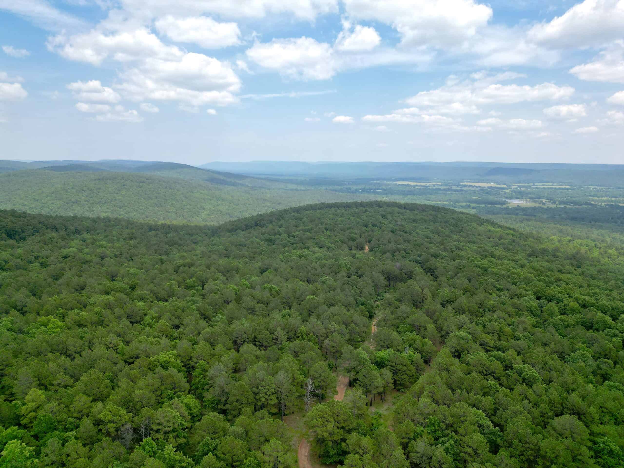 Hunting land for sale in Daisy, OK