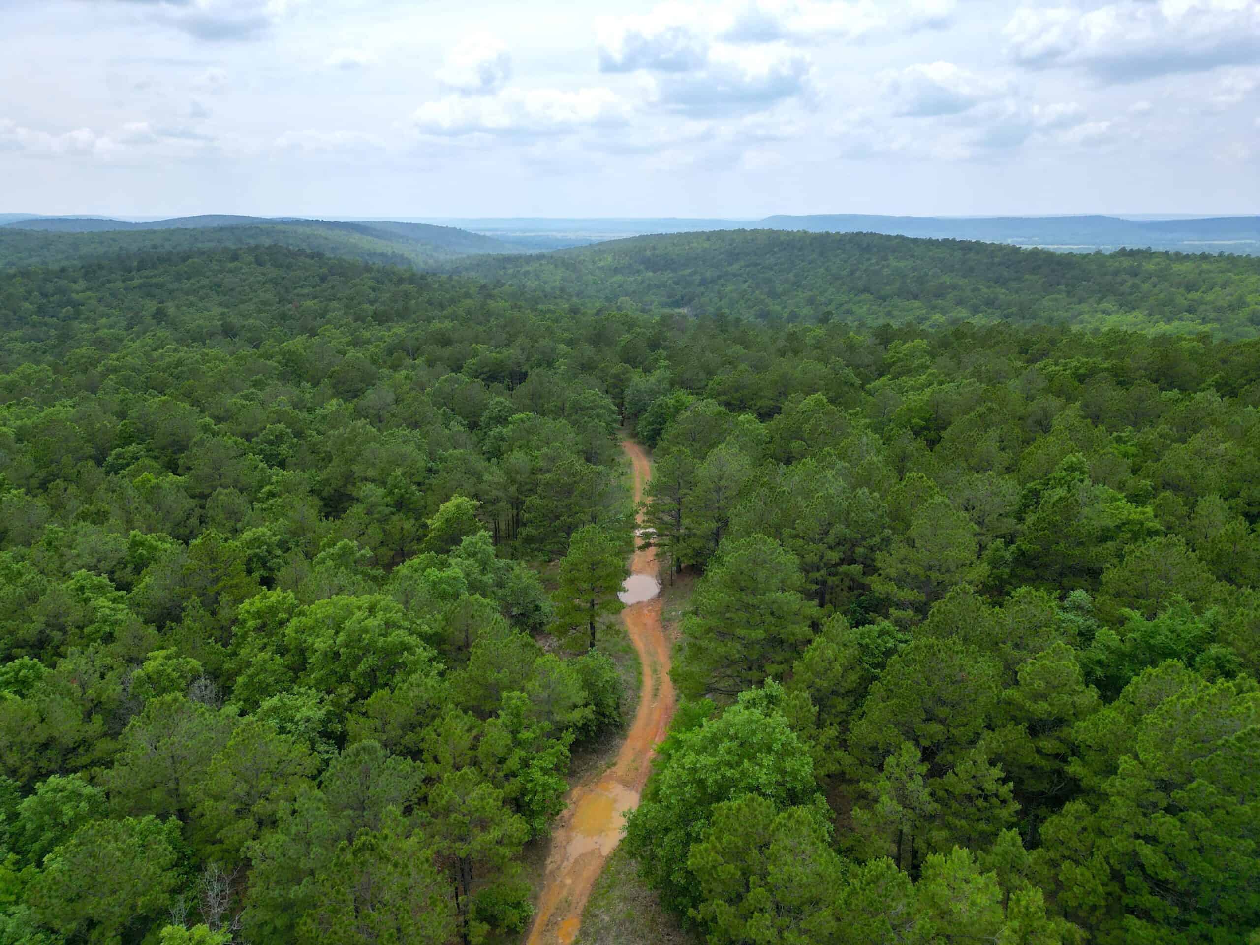 Hunting land for sale in Daisy, OK
