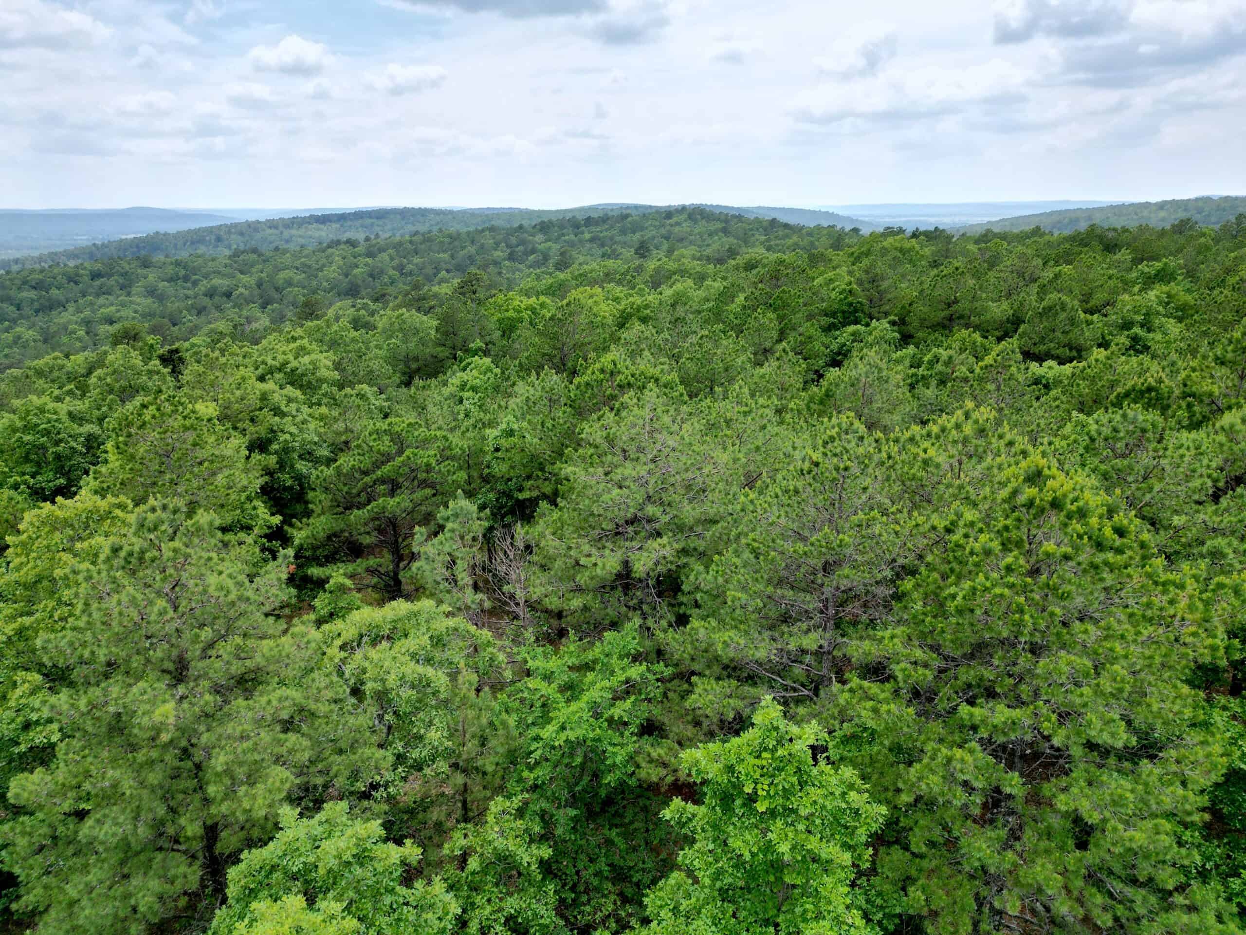 Acreage For Sale in Daisy, Oklahoma!