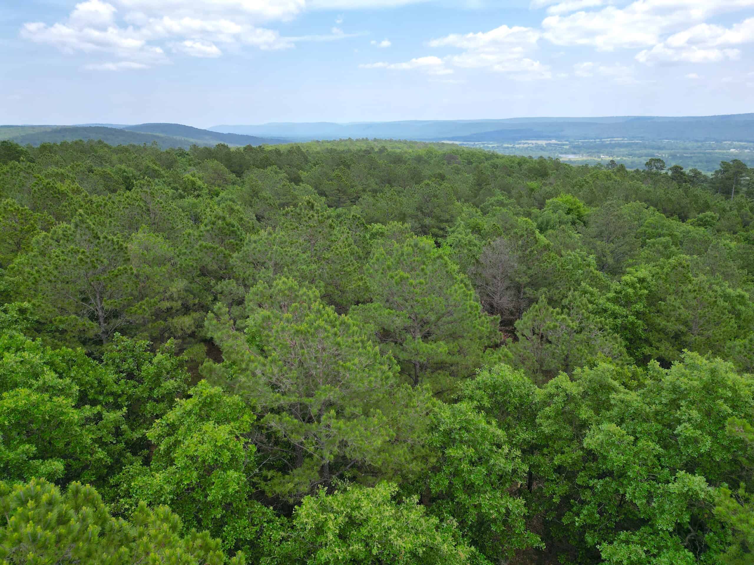 Hunting land for sale in Daisy, OK