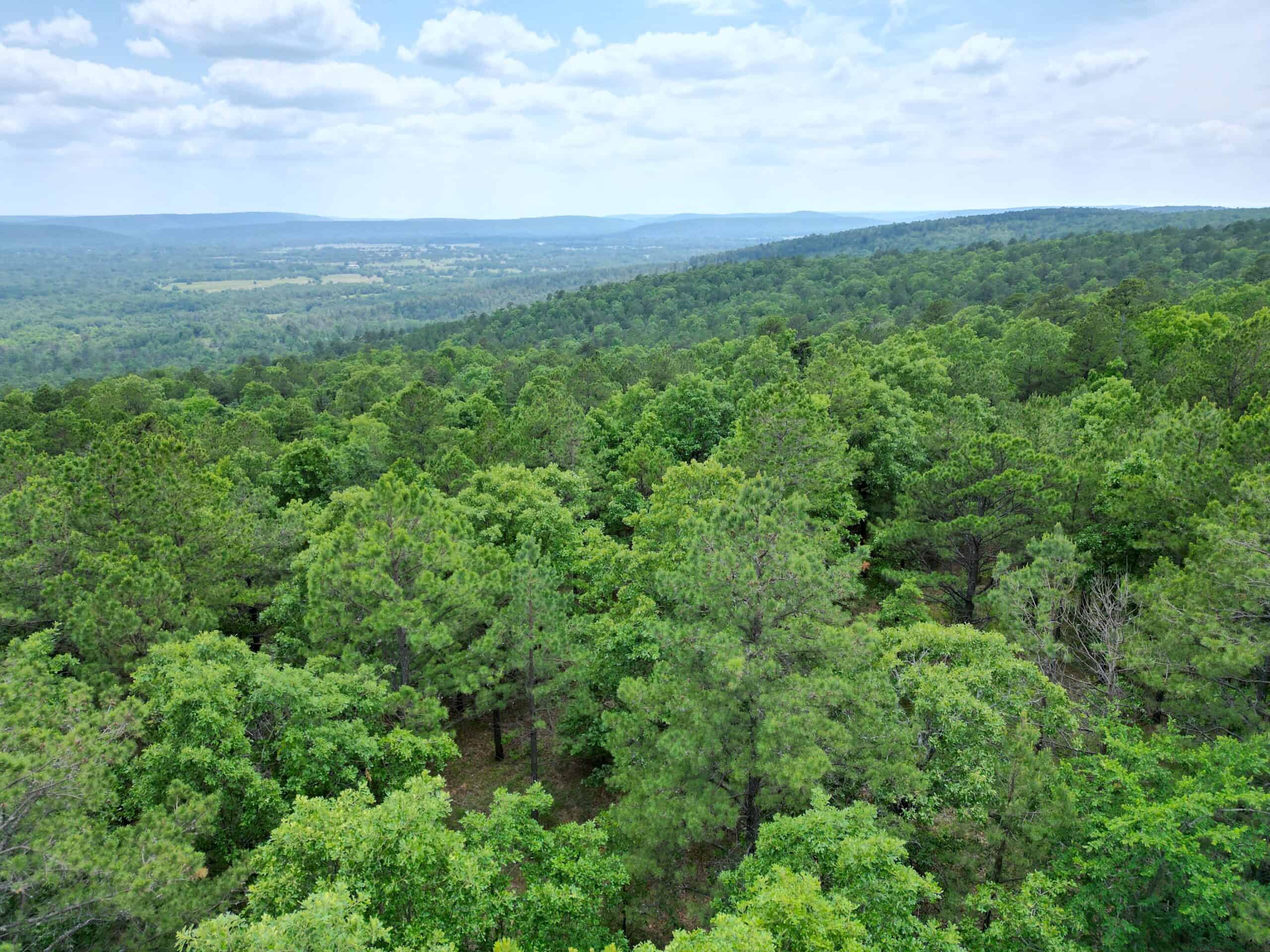 Acreage For Sale in Daisy, Oklahoma!