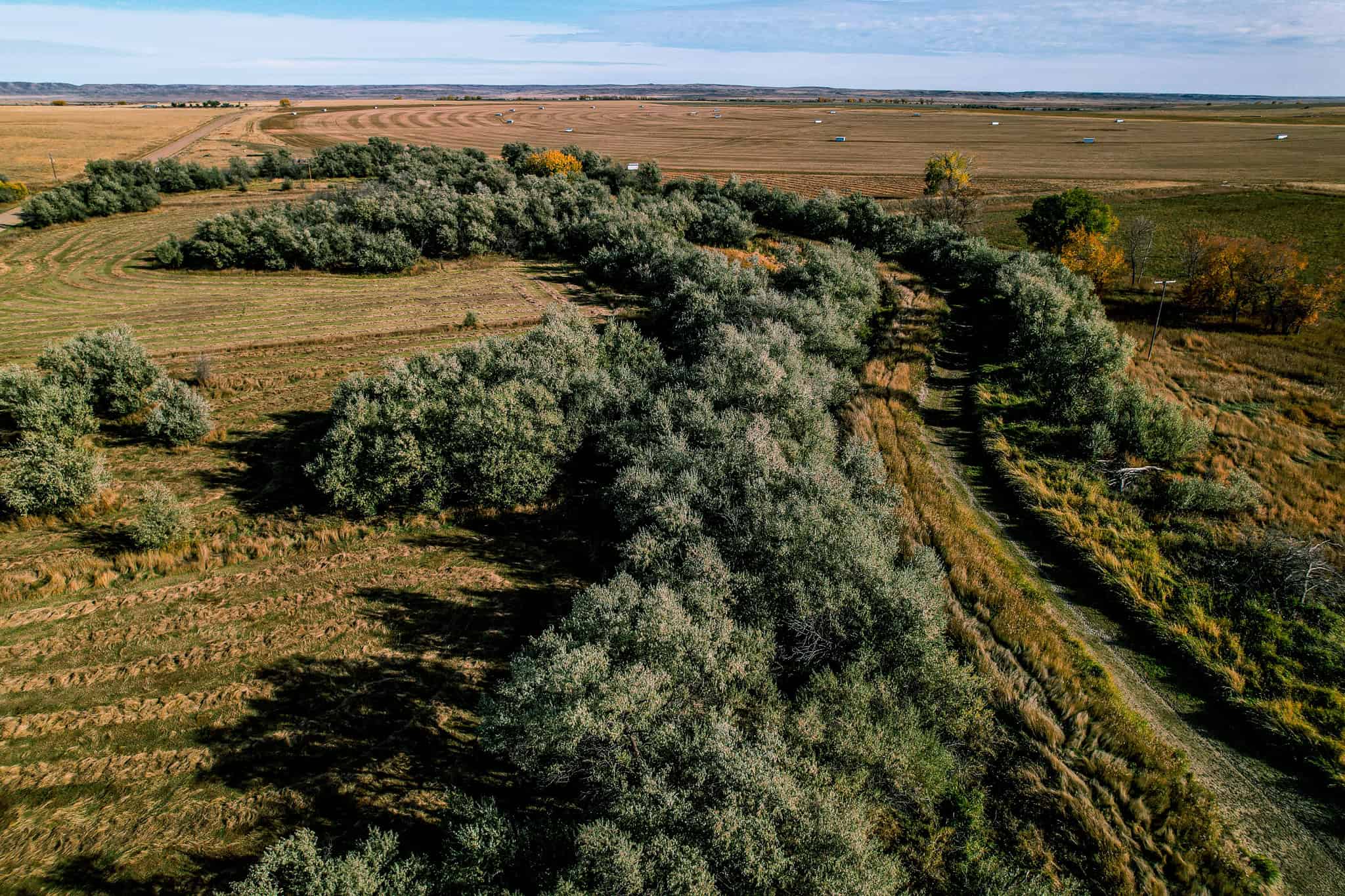 Eastern Montana Irrigated Pivot Ranch For Sale