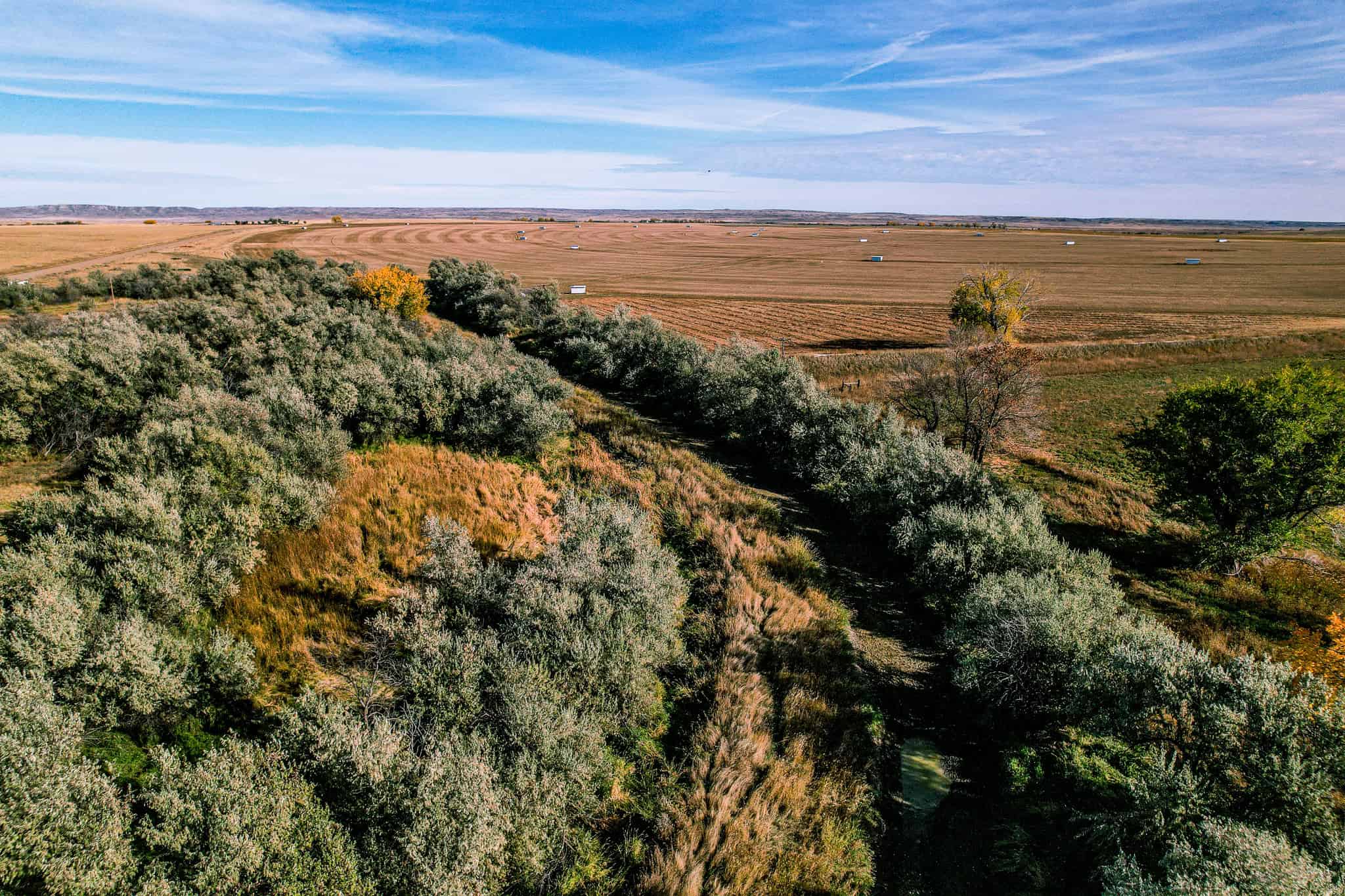 Eastern Montana Irrigated Pivot Ranch For Sale