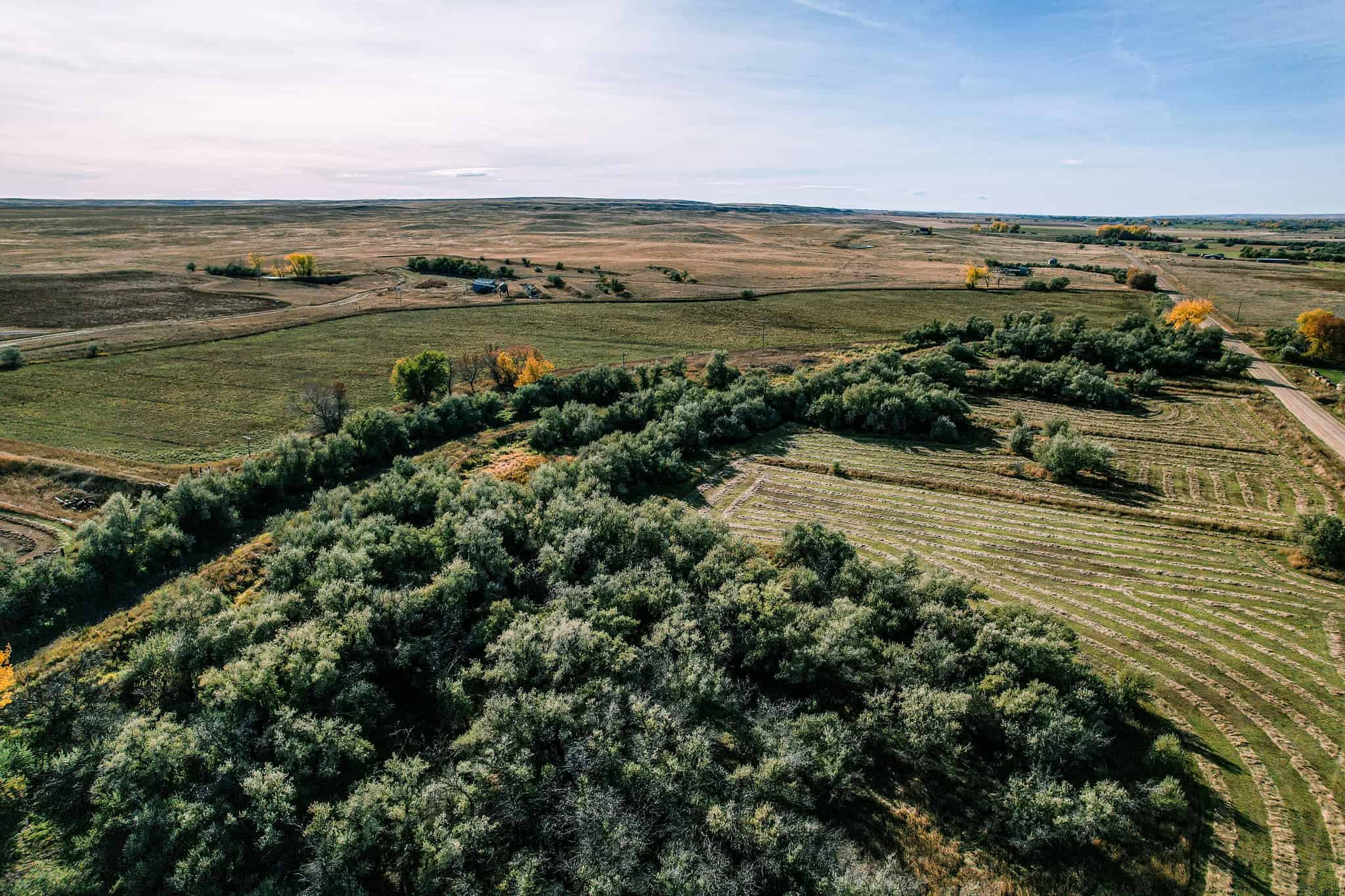 Eastern Montana Irrigated Pivot Ranch For Sale