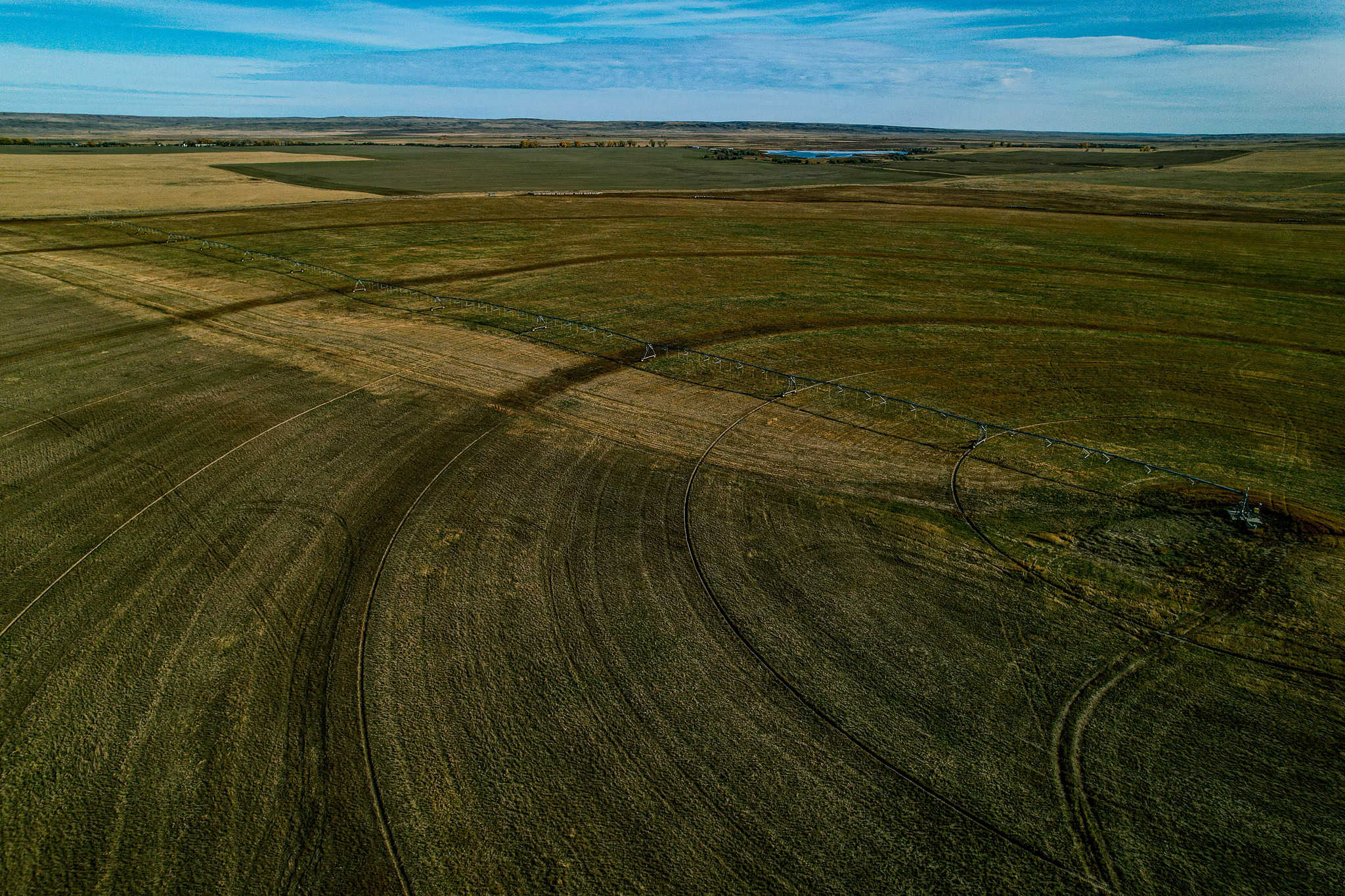 Eastern Montana Irrigated Pivot Ranch For Sale