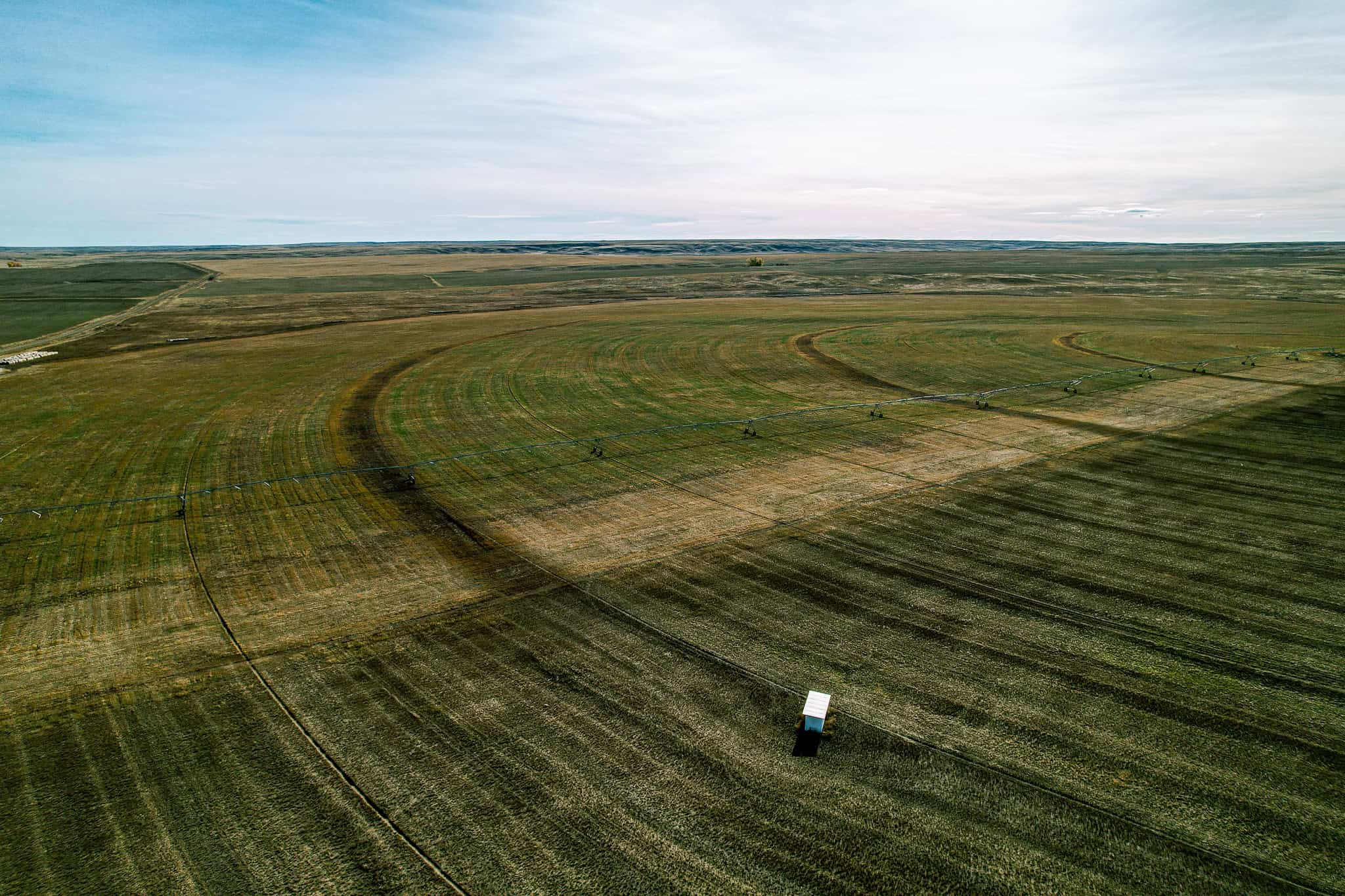 Eastern Montana Irrigated Pivot Ranch For Sale